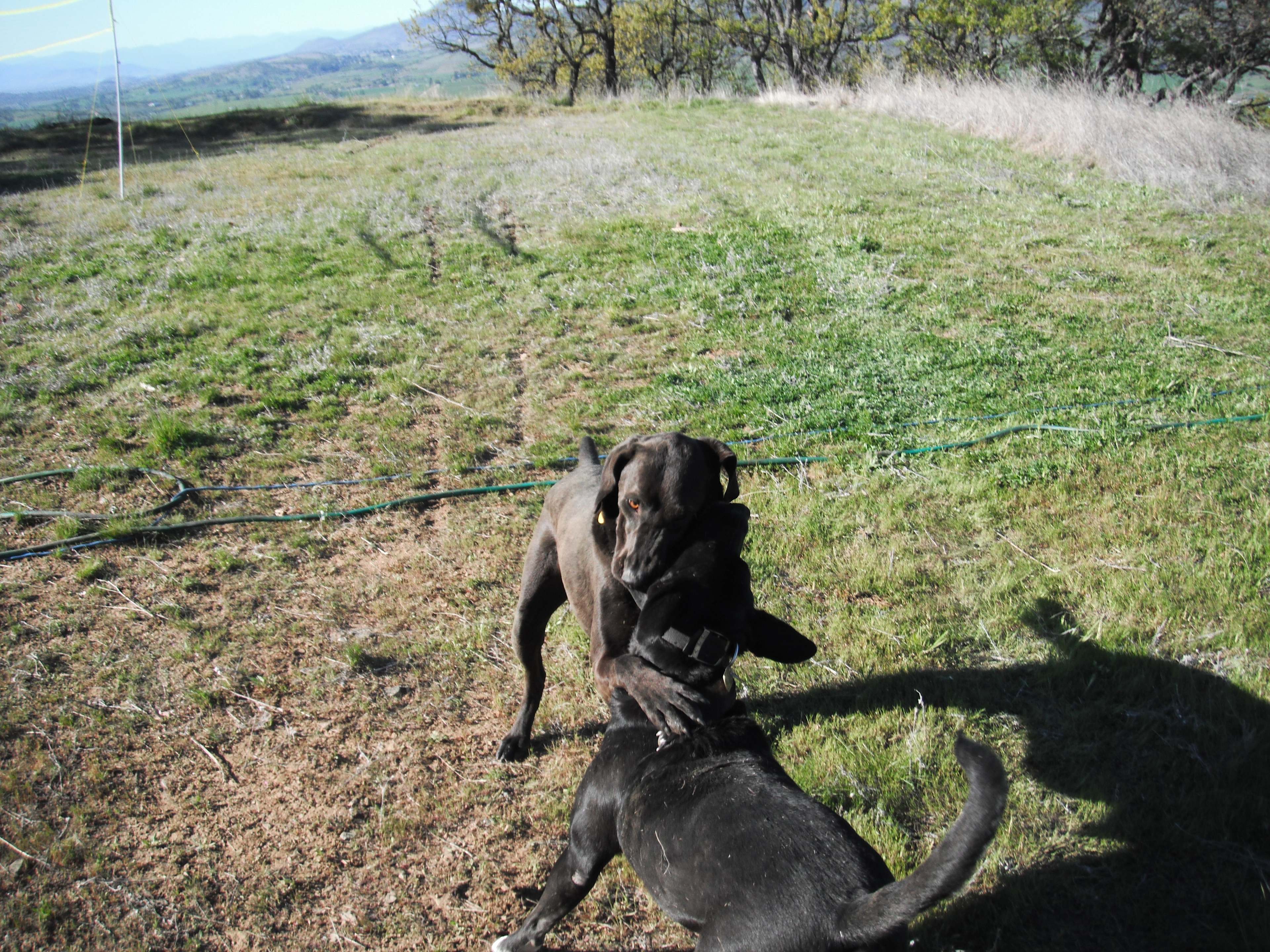 Ashland Views Campsite
