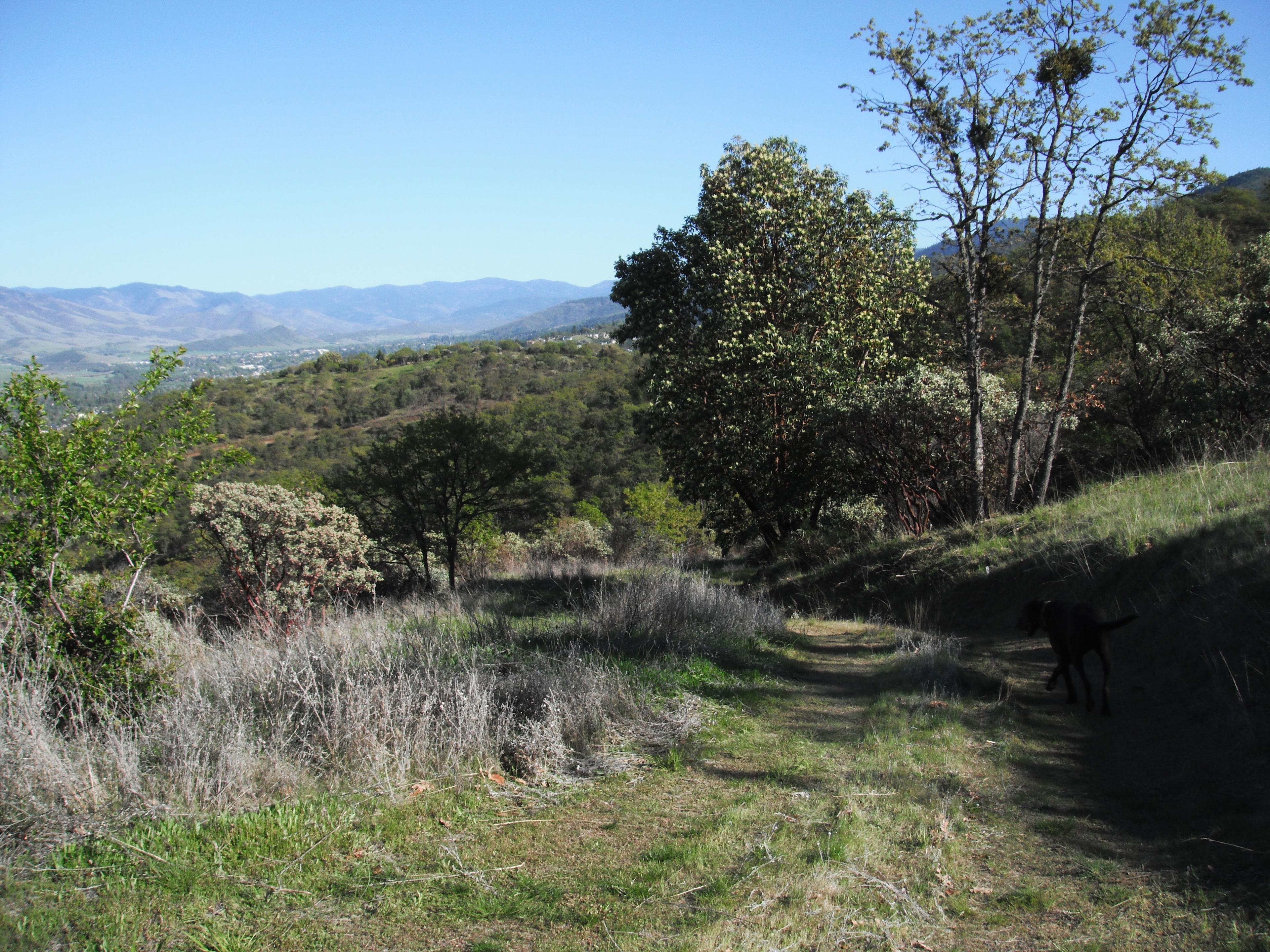 Ashland Views Campsite