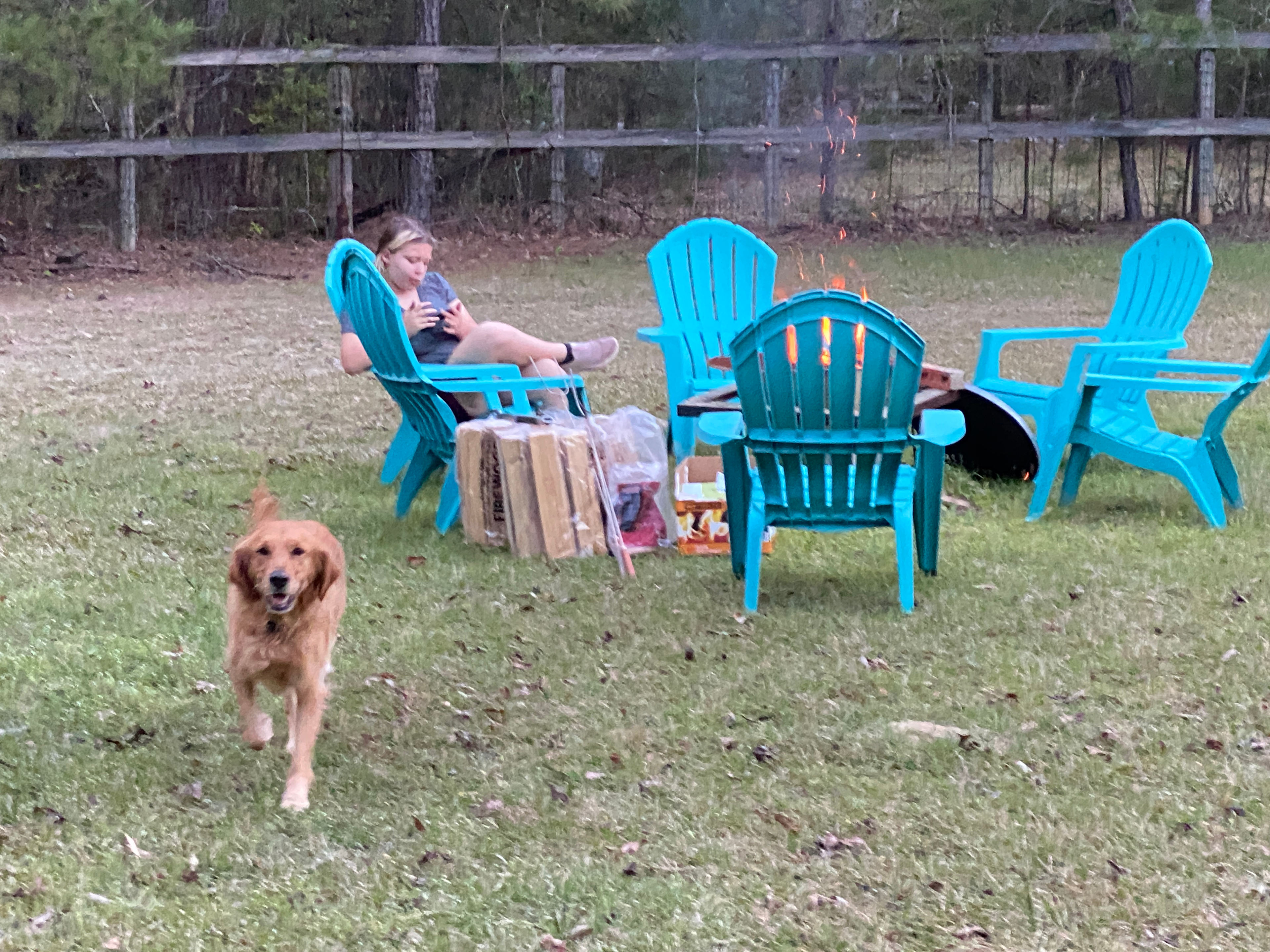 Our furry friend was welcomed! 