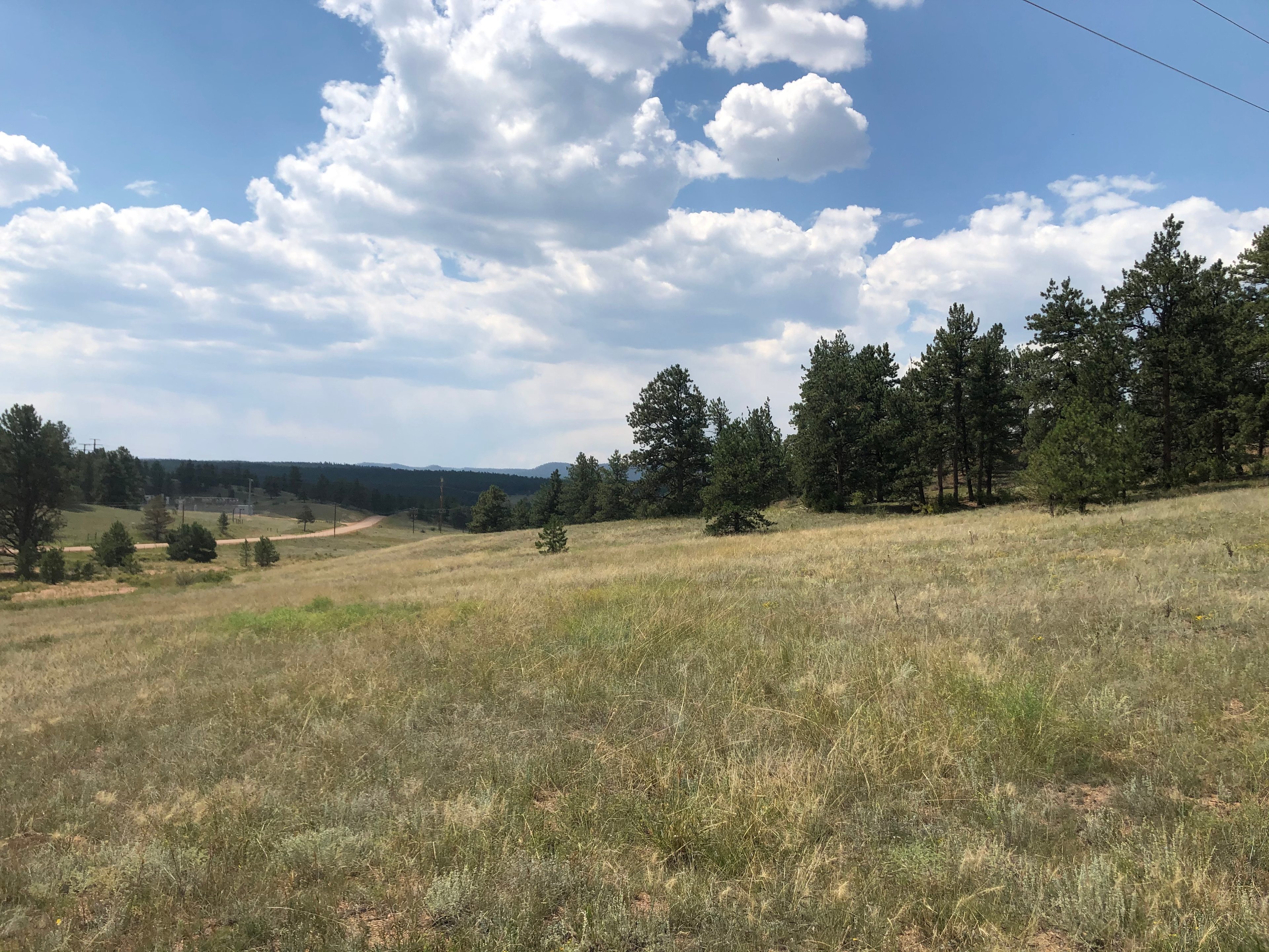 Pikes Peak Drive Peaceful Acres