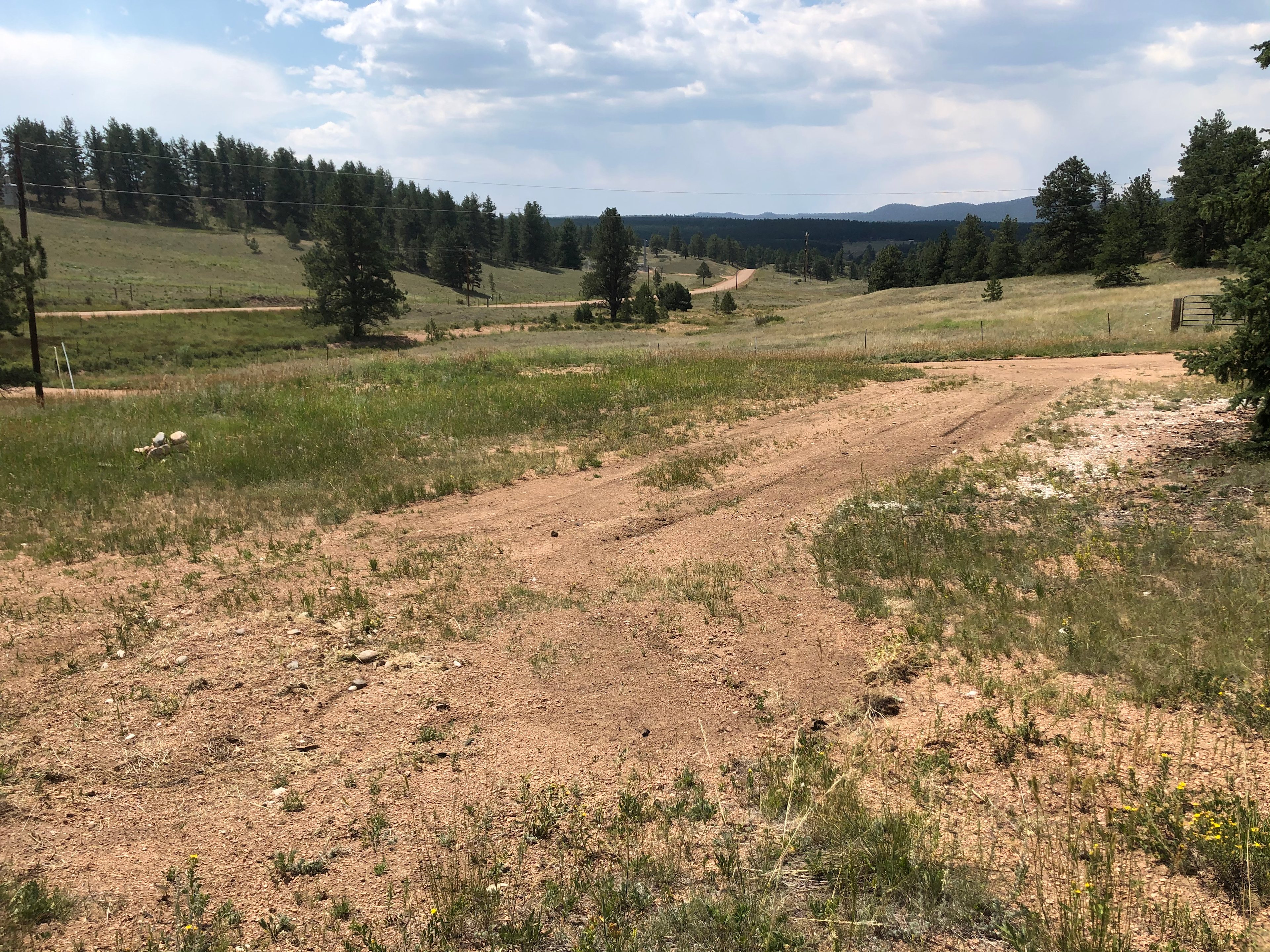 Pikes Peak Drive Peaceful Acres