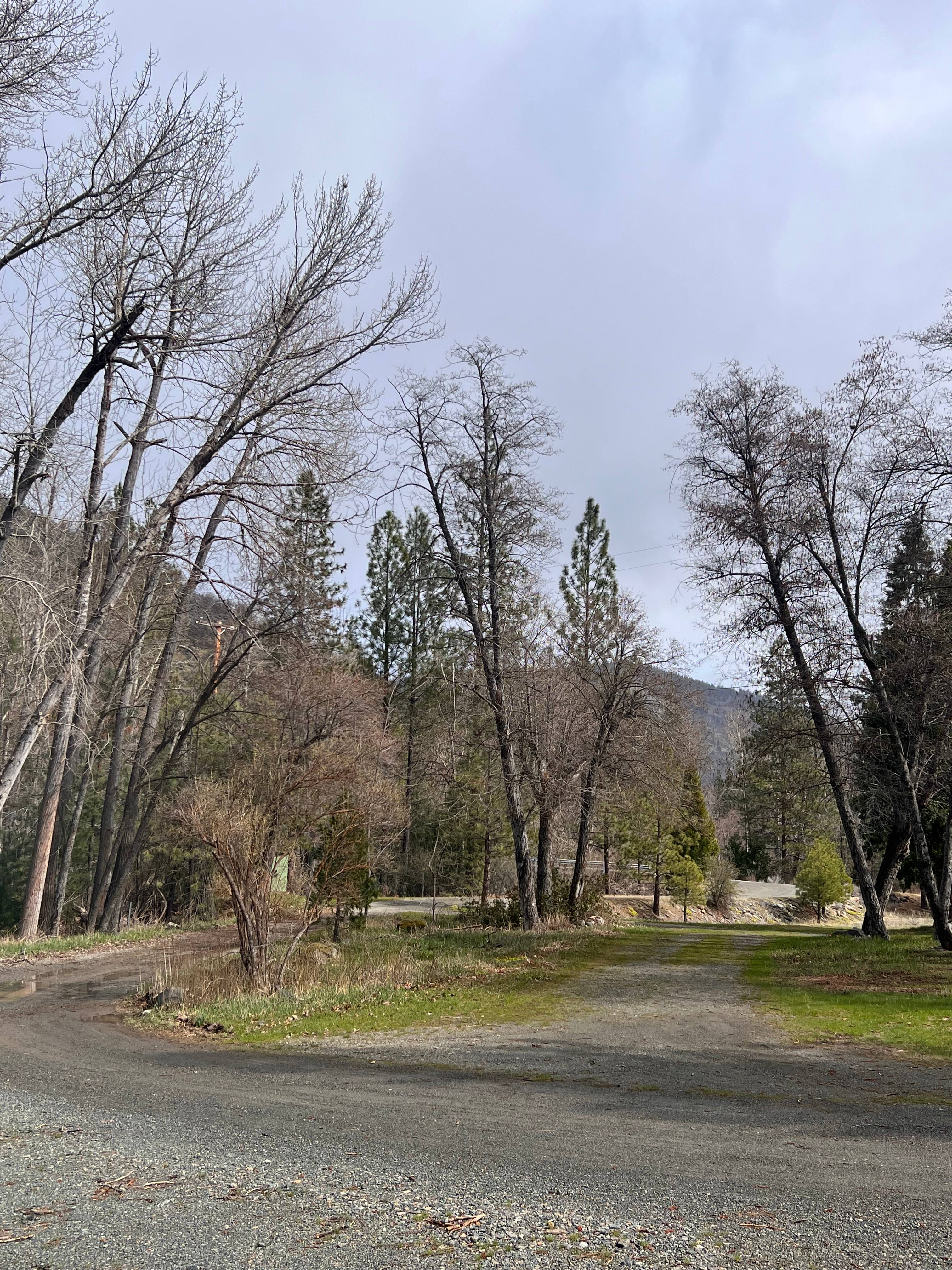 Koozee Farm