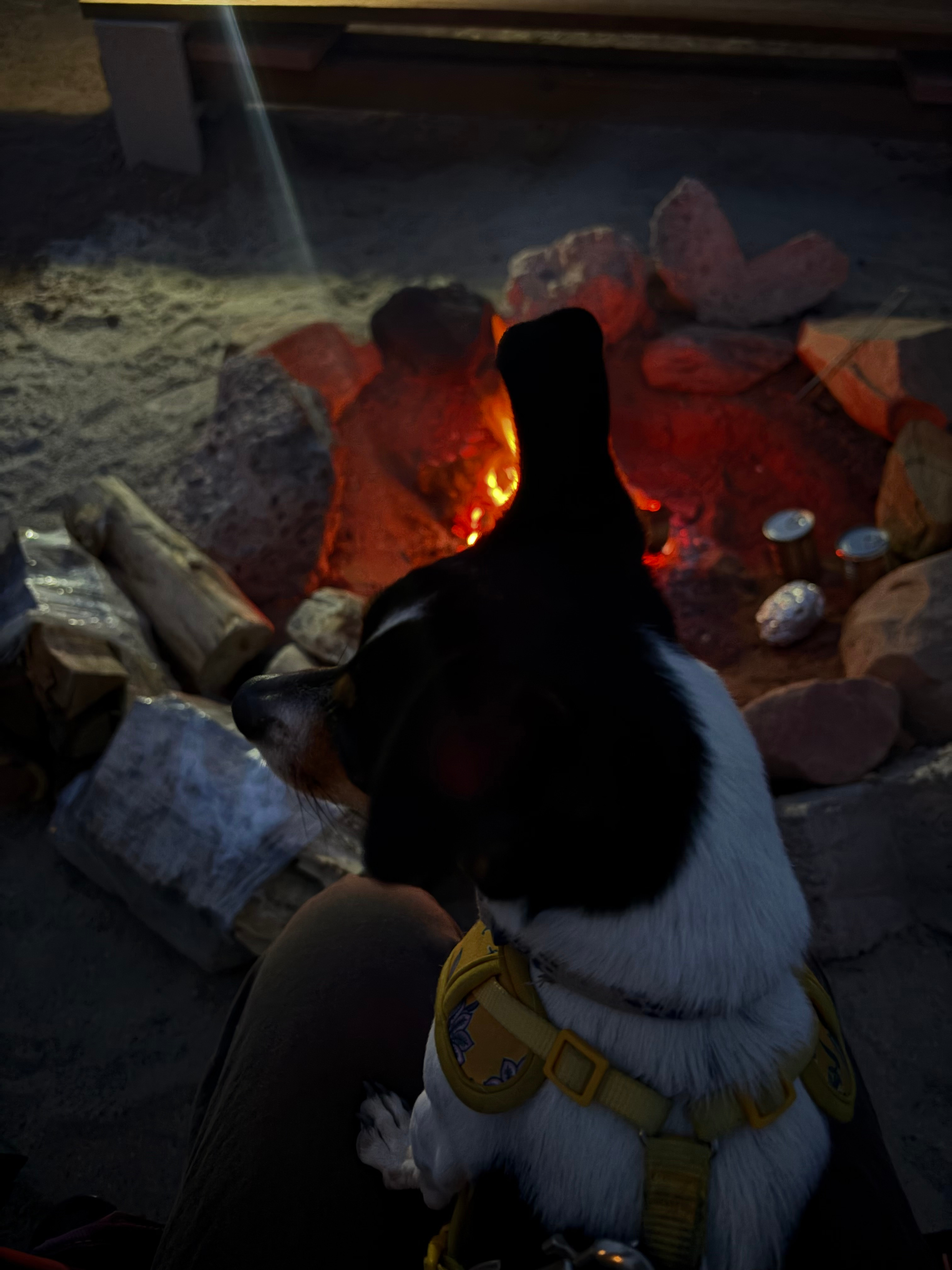 Sun Country campground