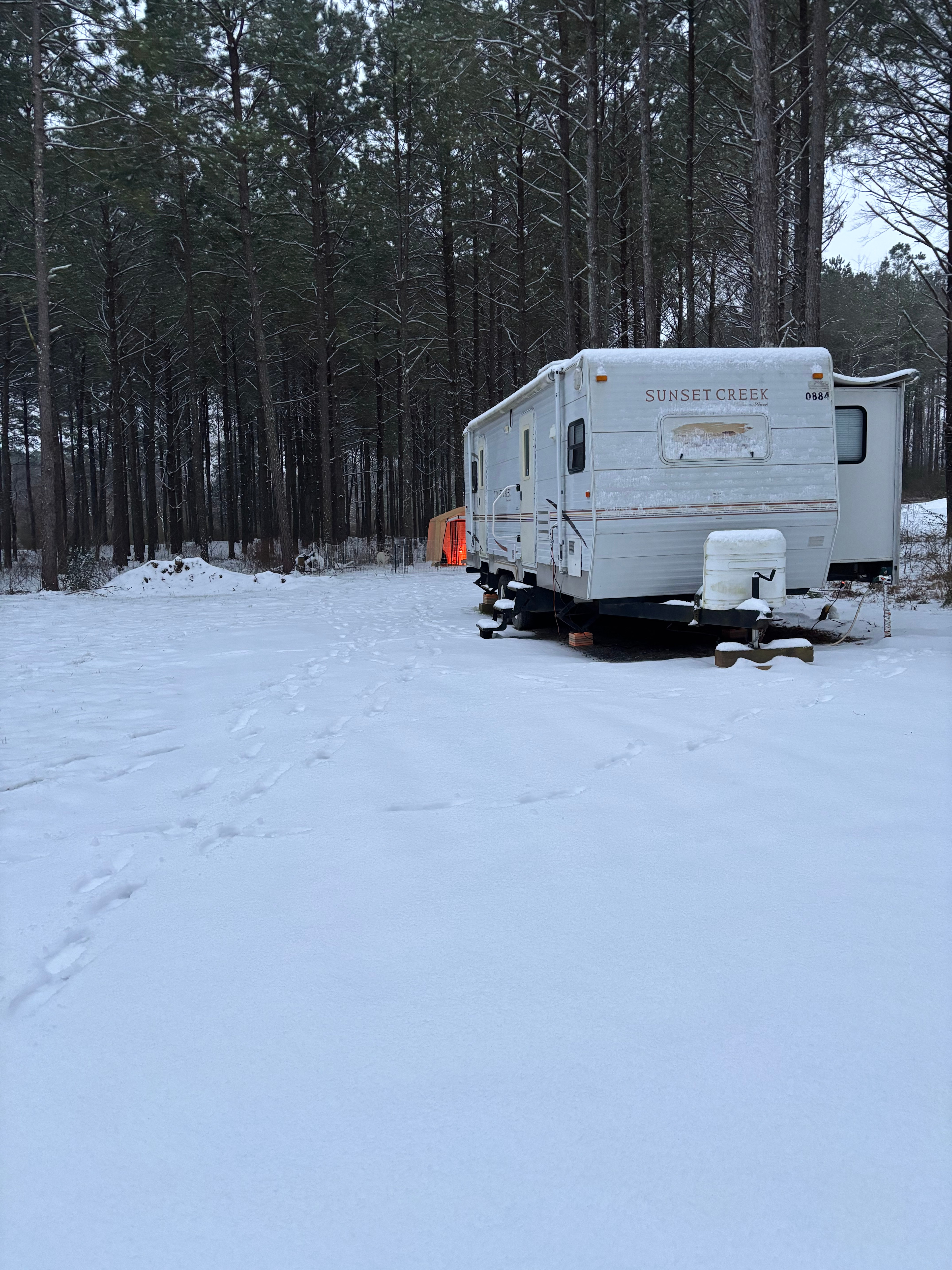 Camping in the woods in Ocoee