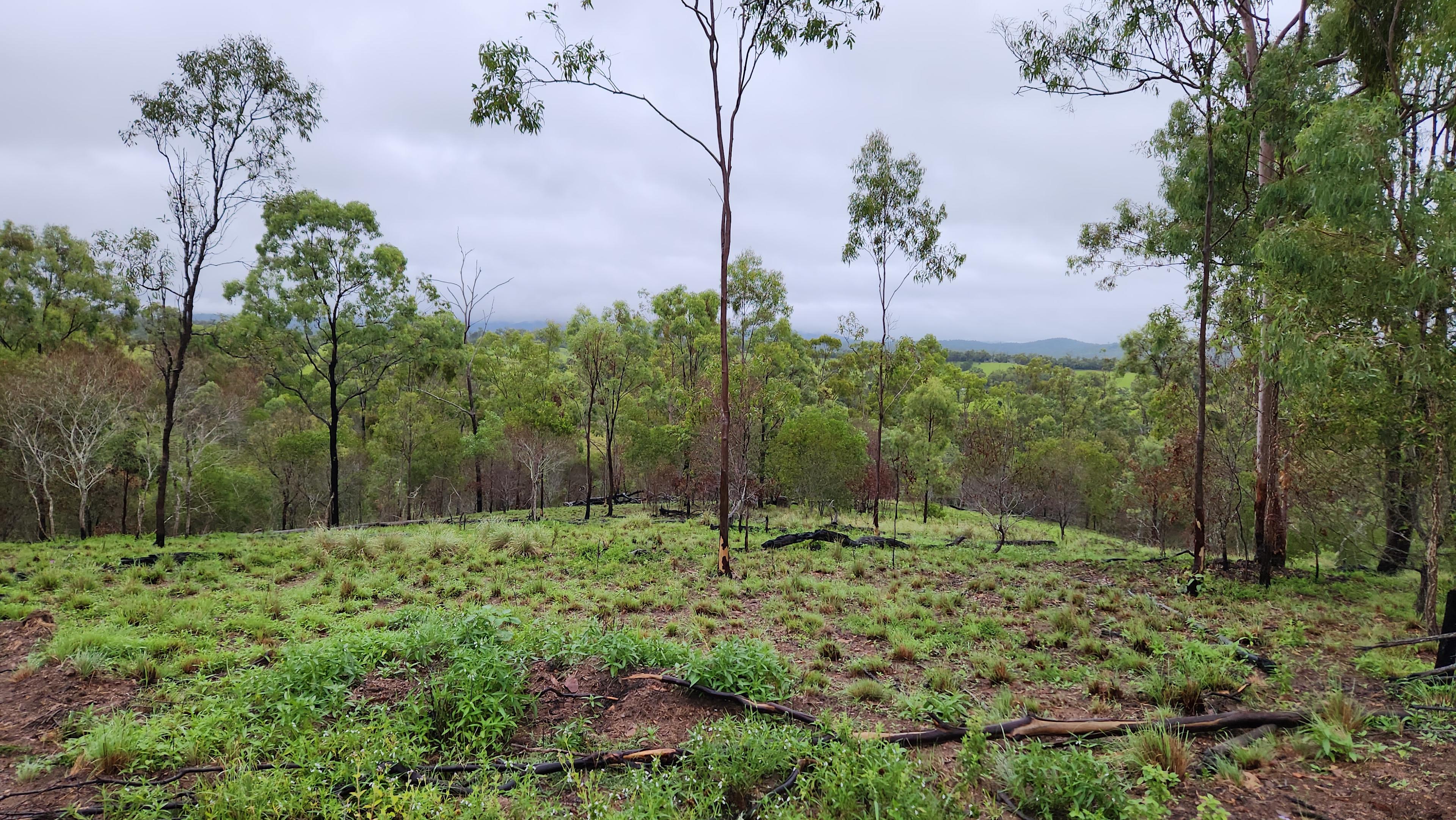 Nice view, even when it is rainy