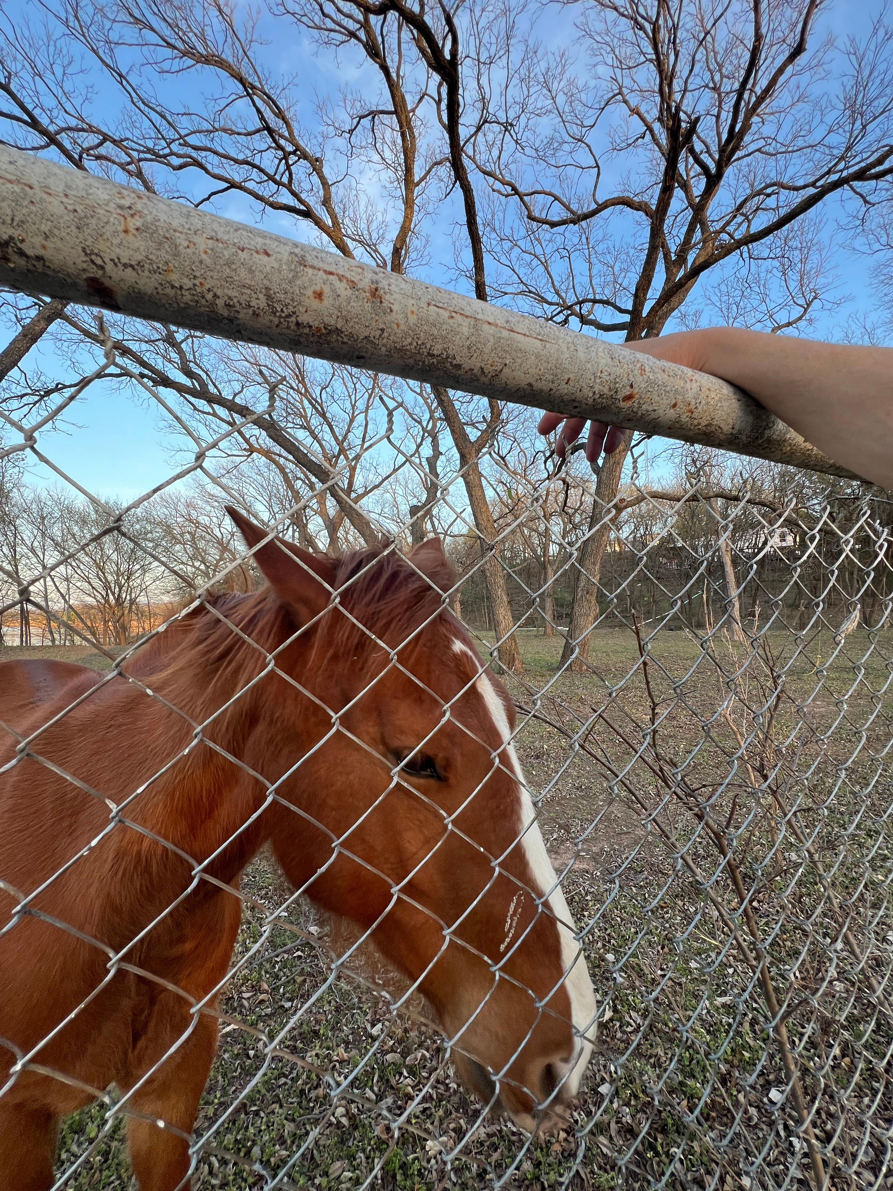 Great neighbor!
