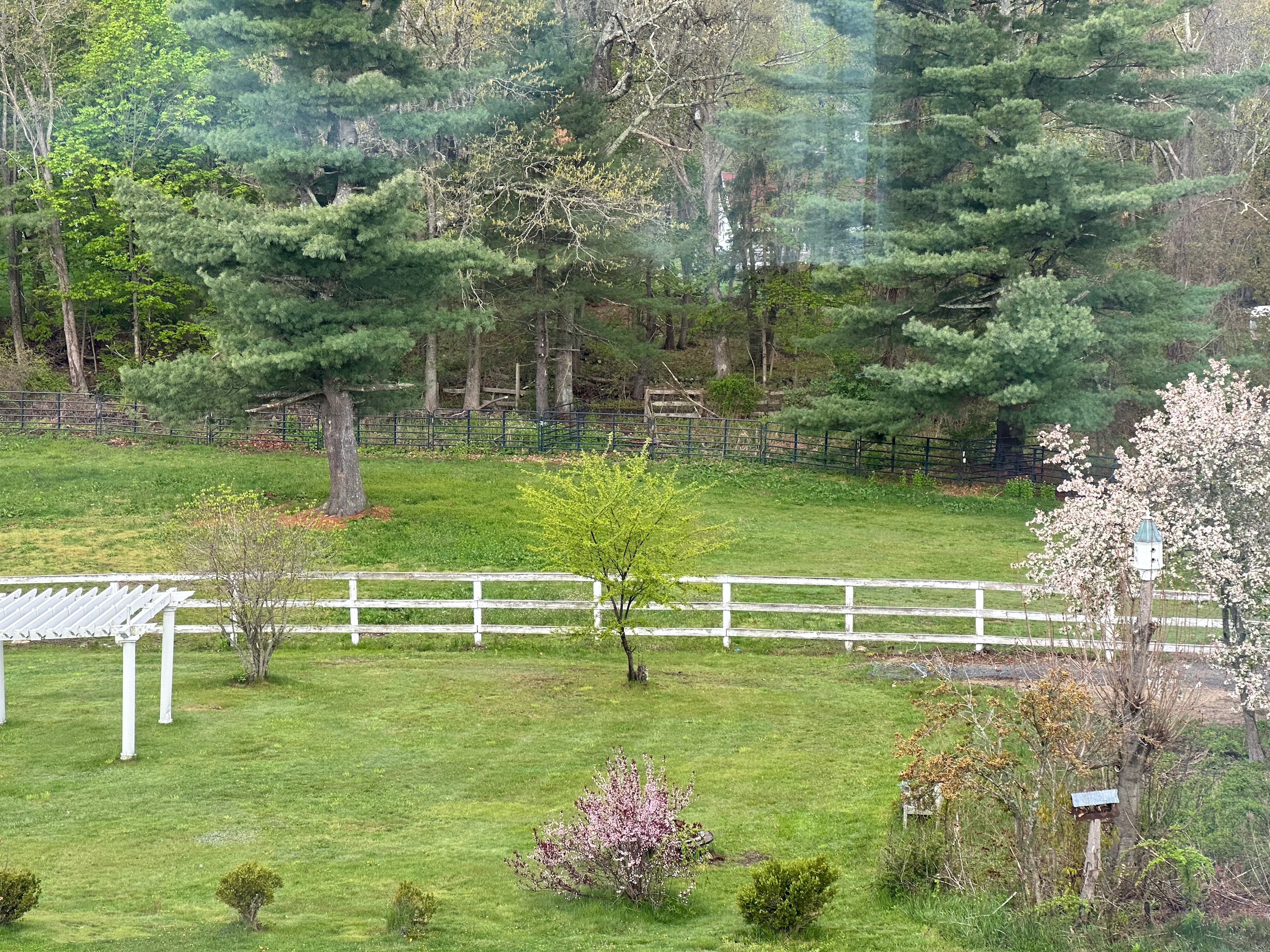 Inn On The Horse Farm