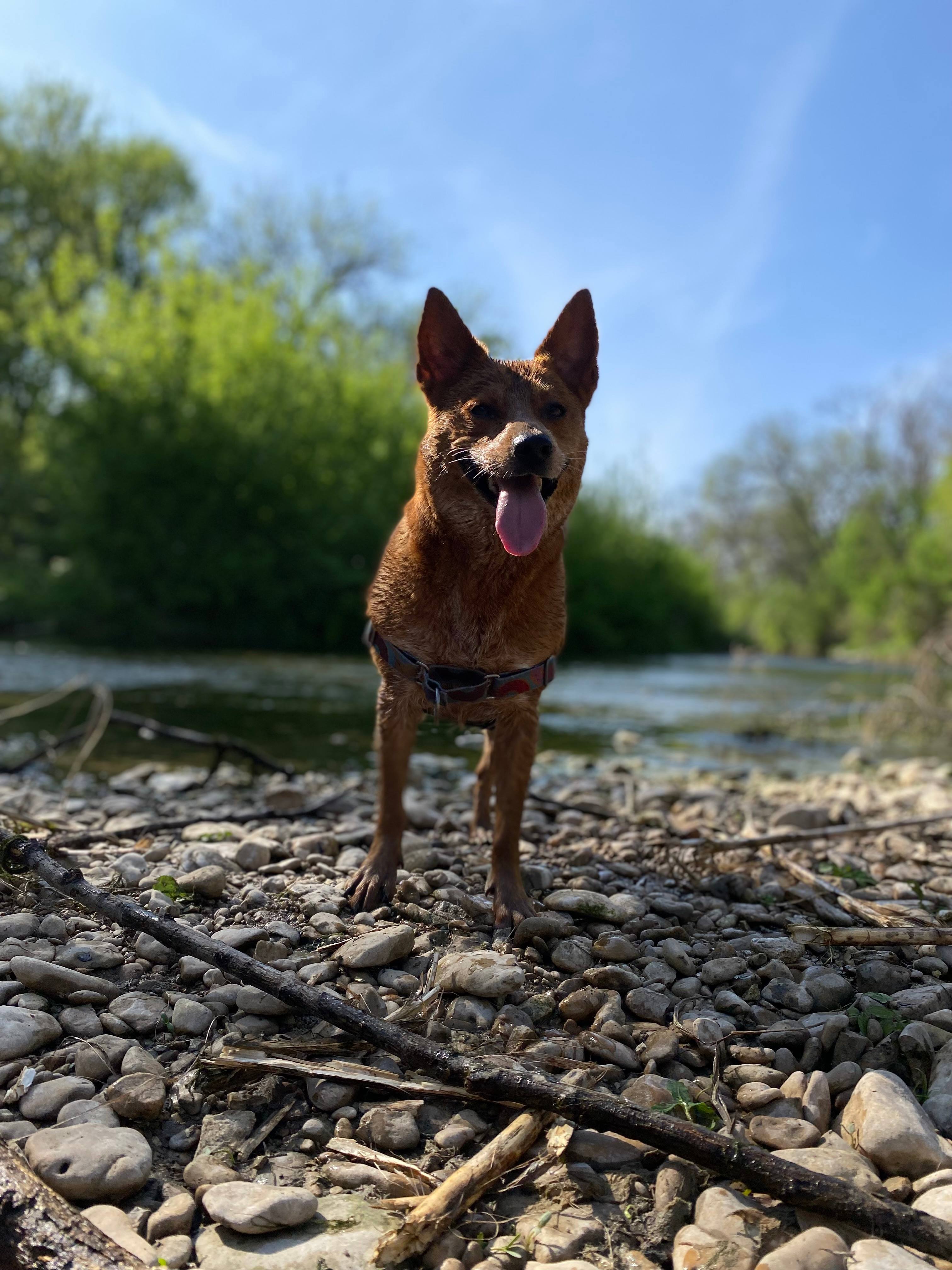 P² Farm | Scenic River Camping