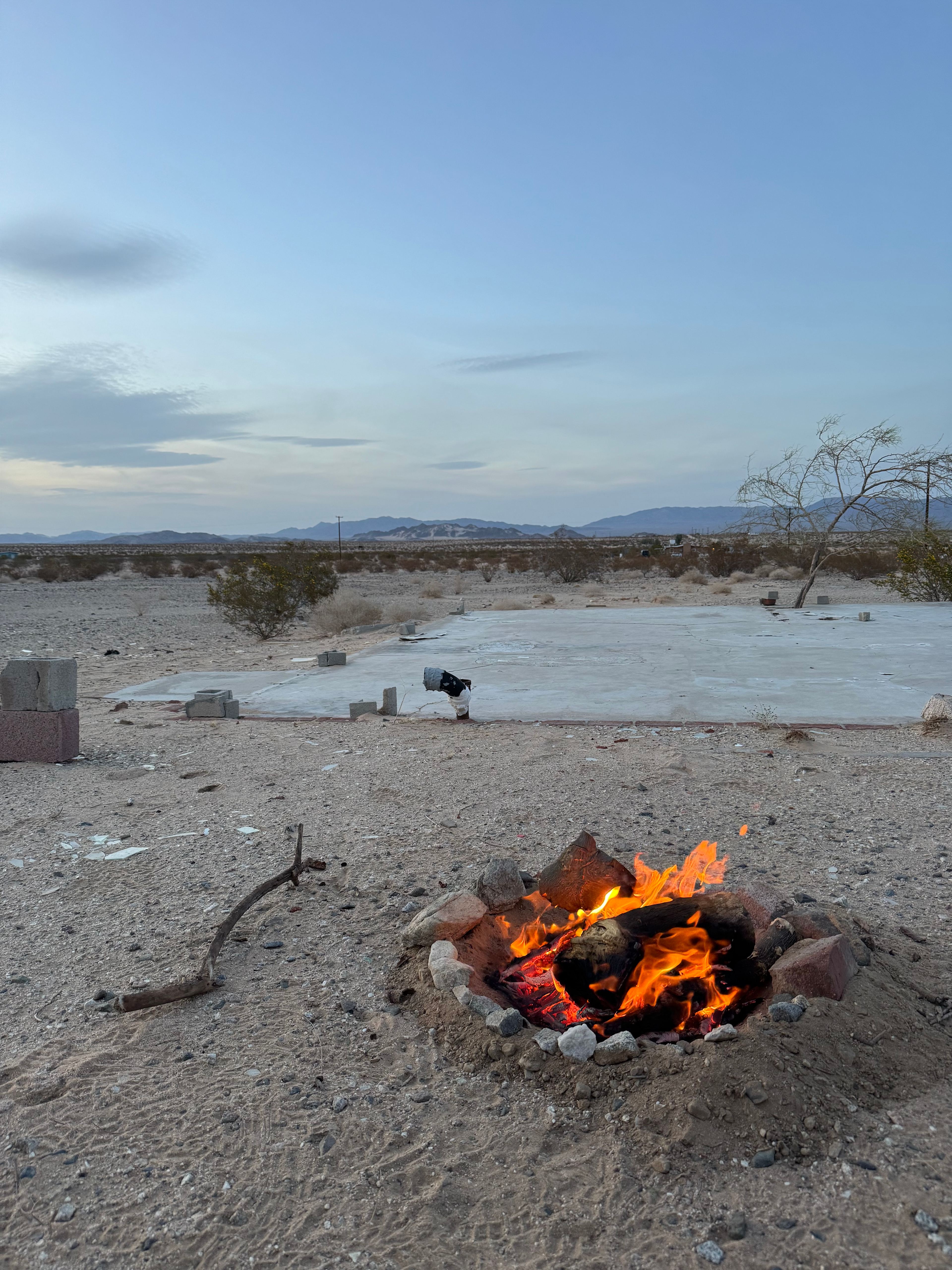 Sunny Desert Acres