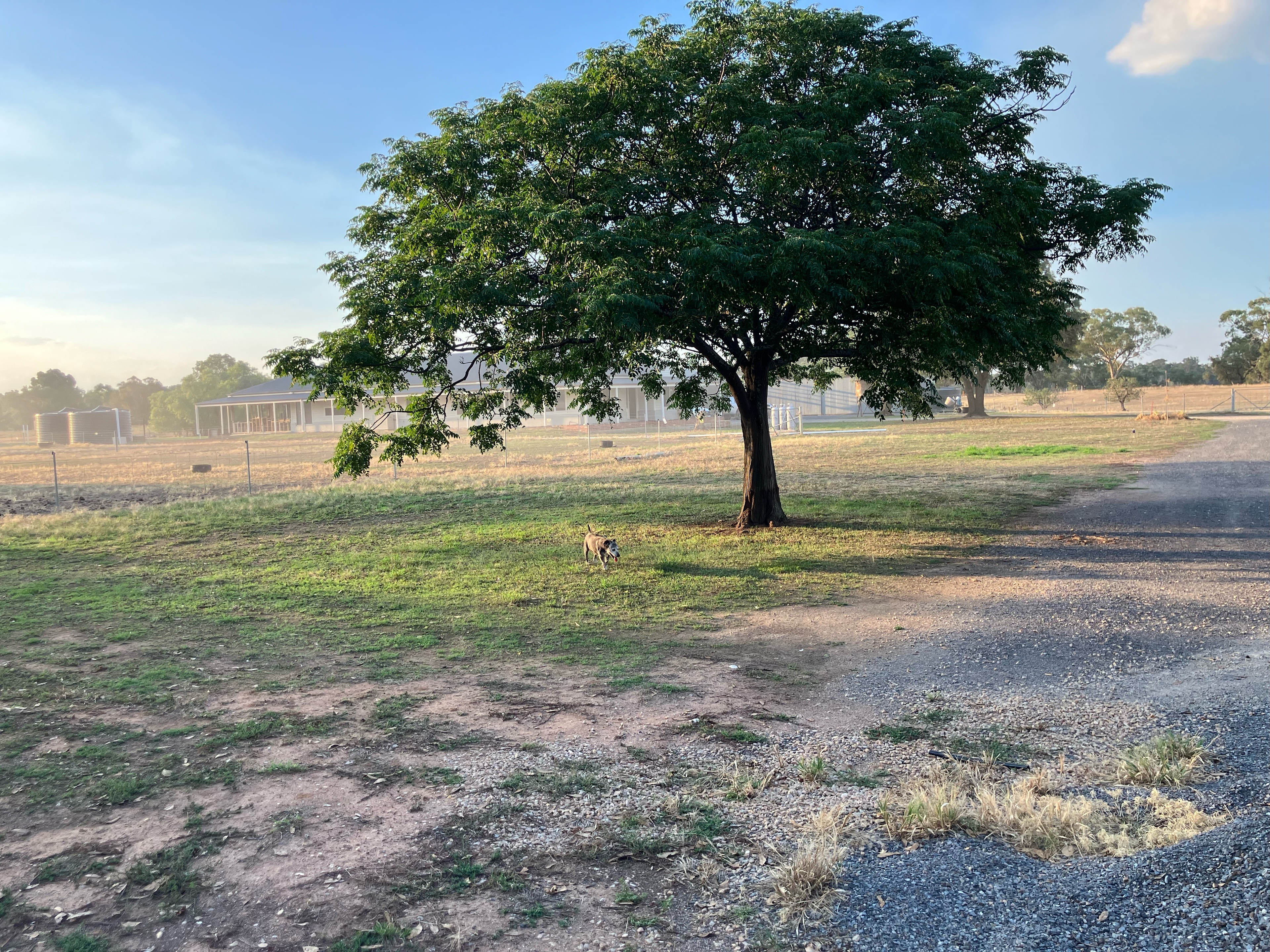 Montpelier at Lake Moodemere