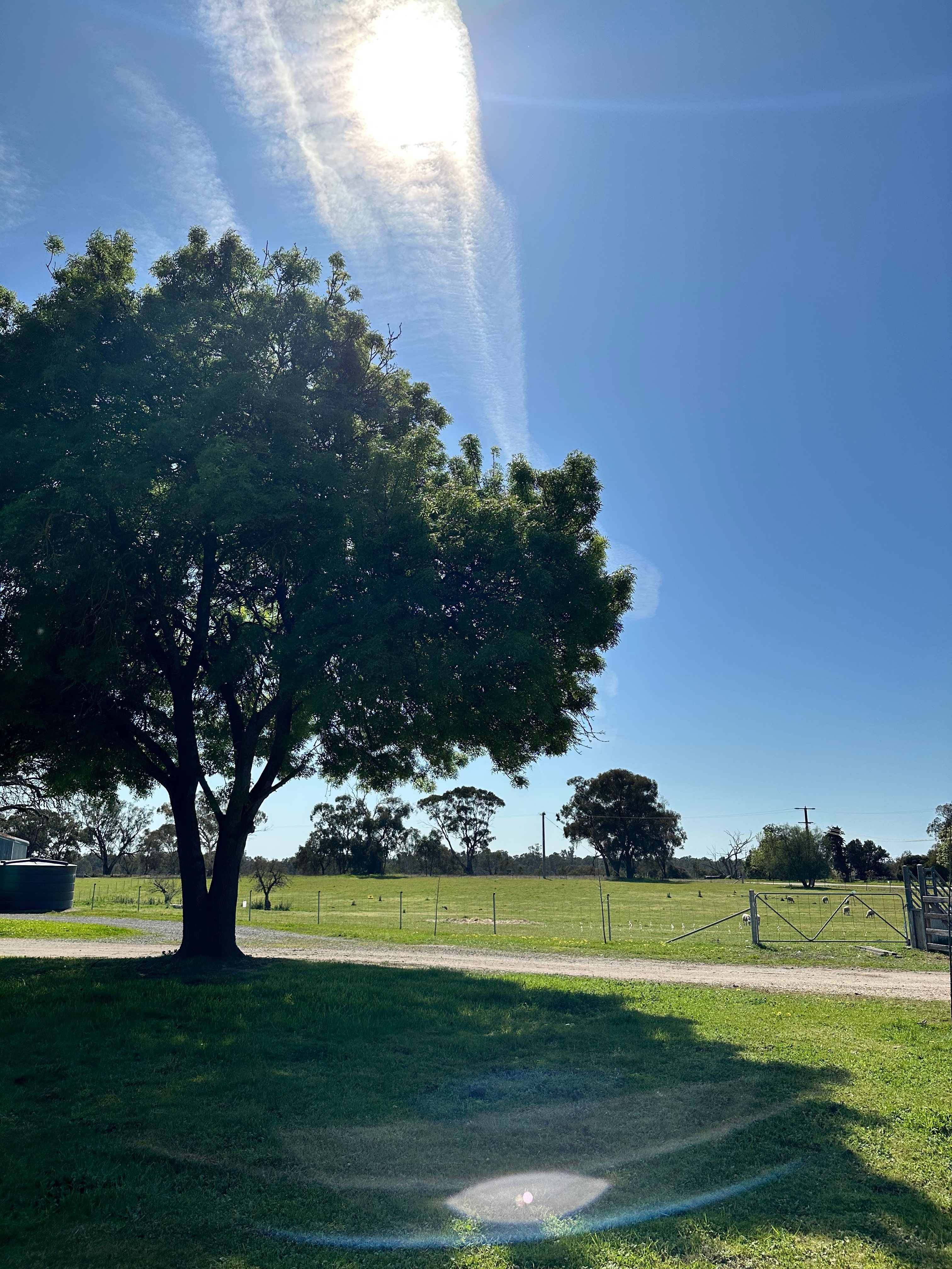 Montpelier at Lake Moodemere