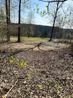 Harper Bluff & Numu Coffee Roastery