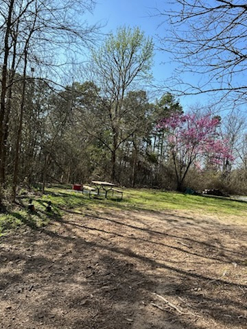 Harper Bluff & Numu Coffee Roastery