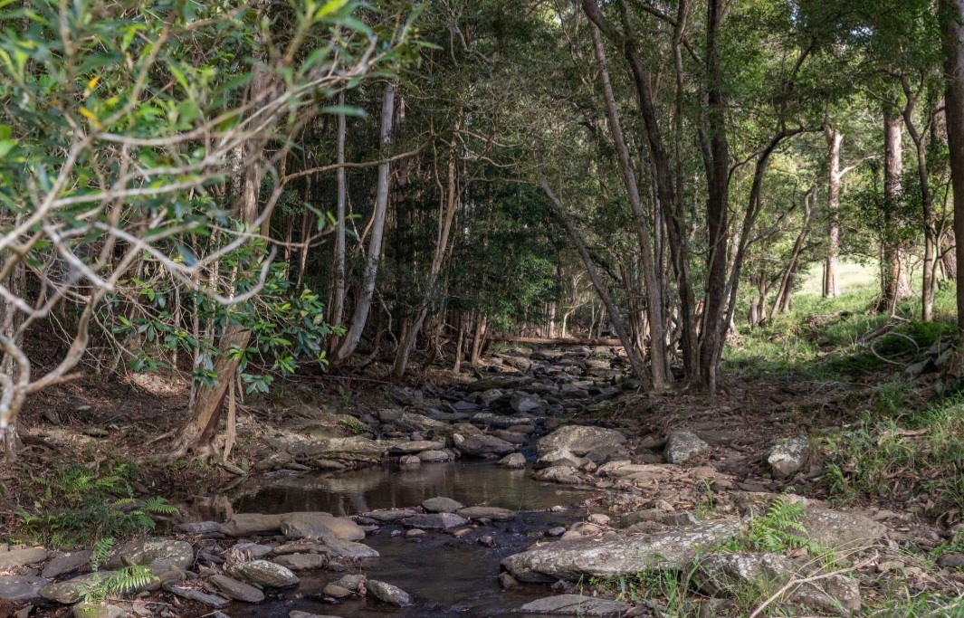 Coorie Vale
