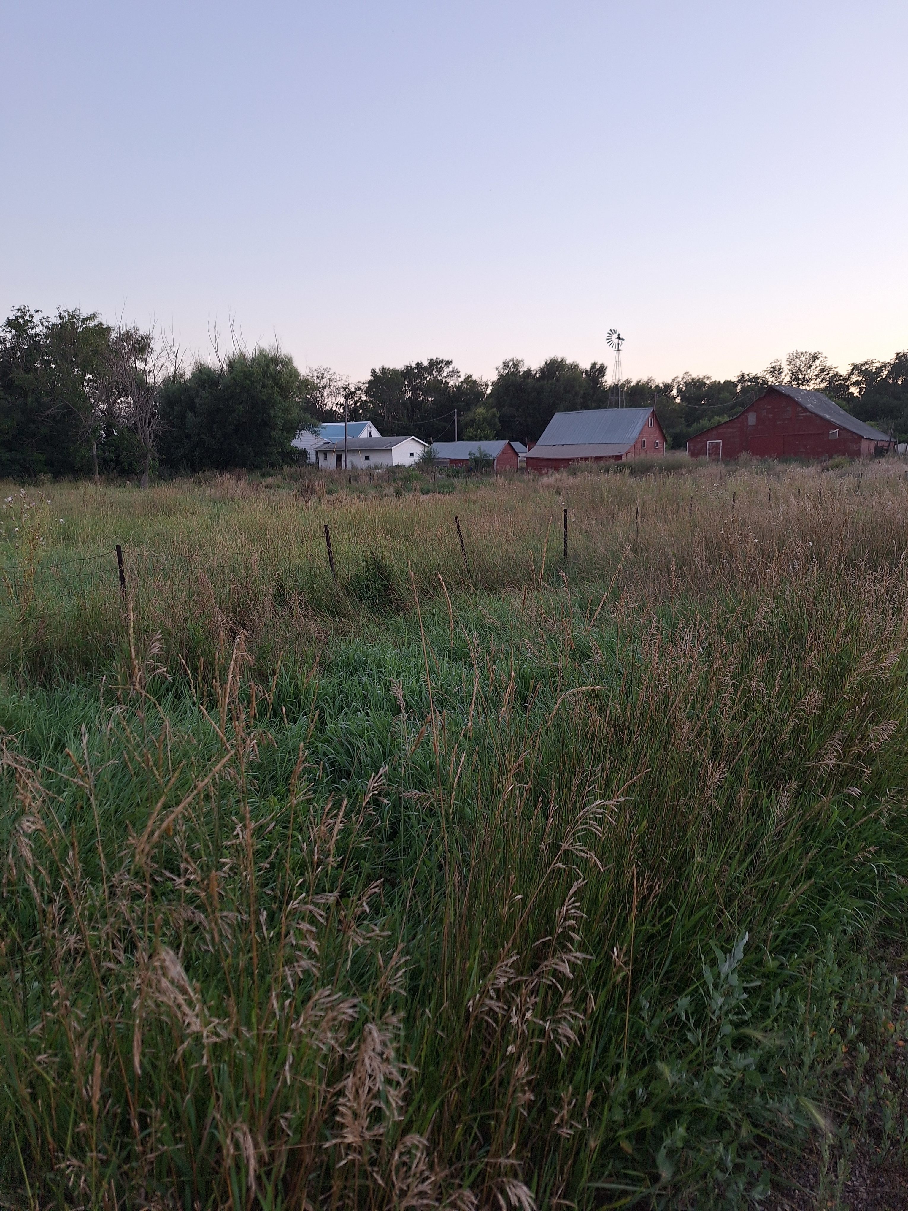 Silly Goose Farm - Cut Flower Farm