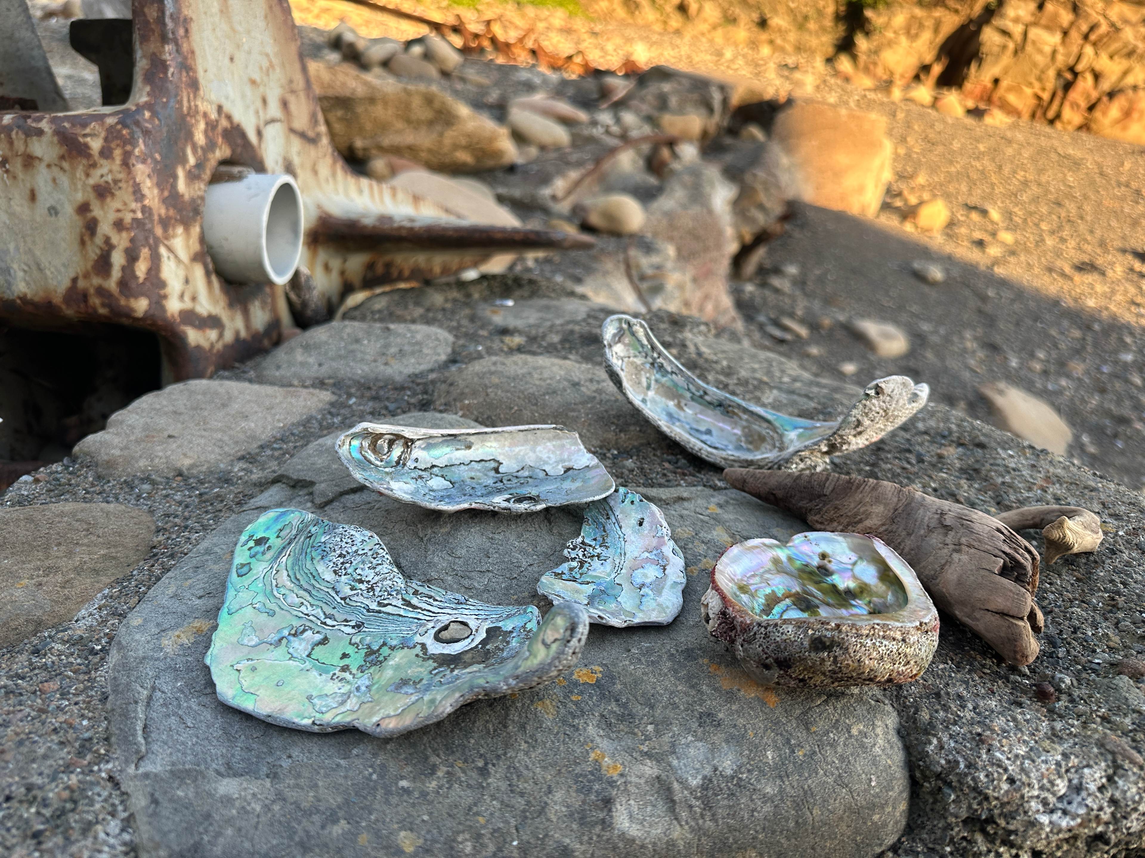 Timber Cove Campground