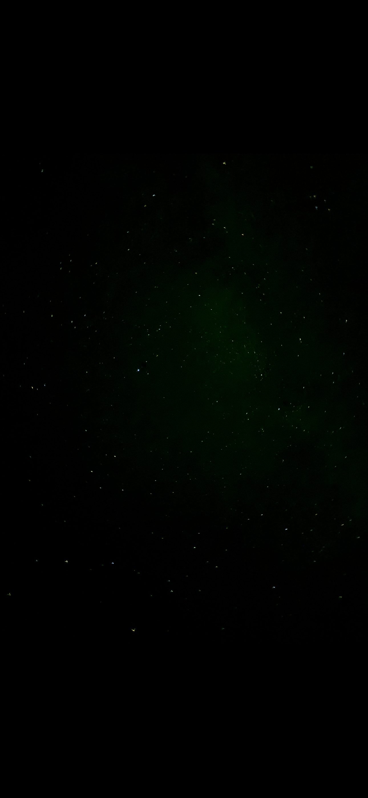 Starry night in Terlingua 