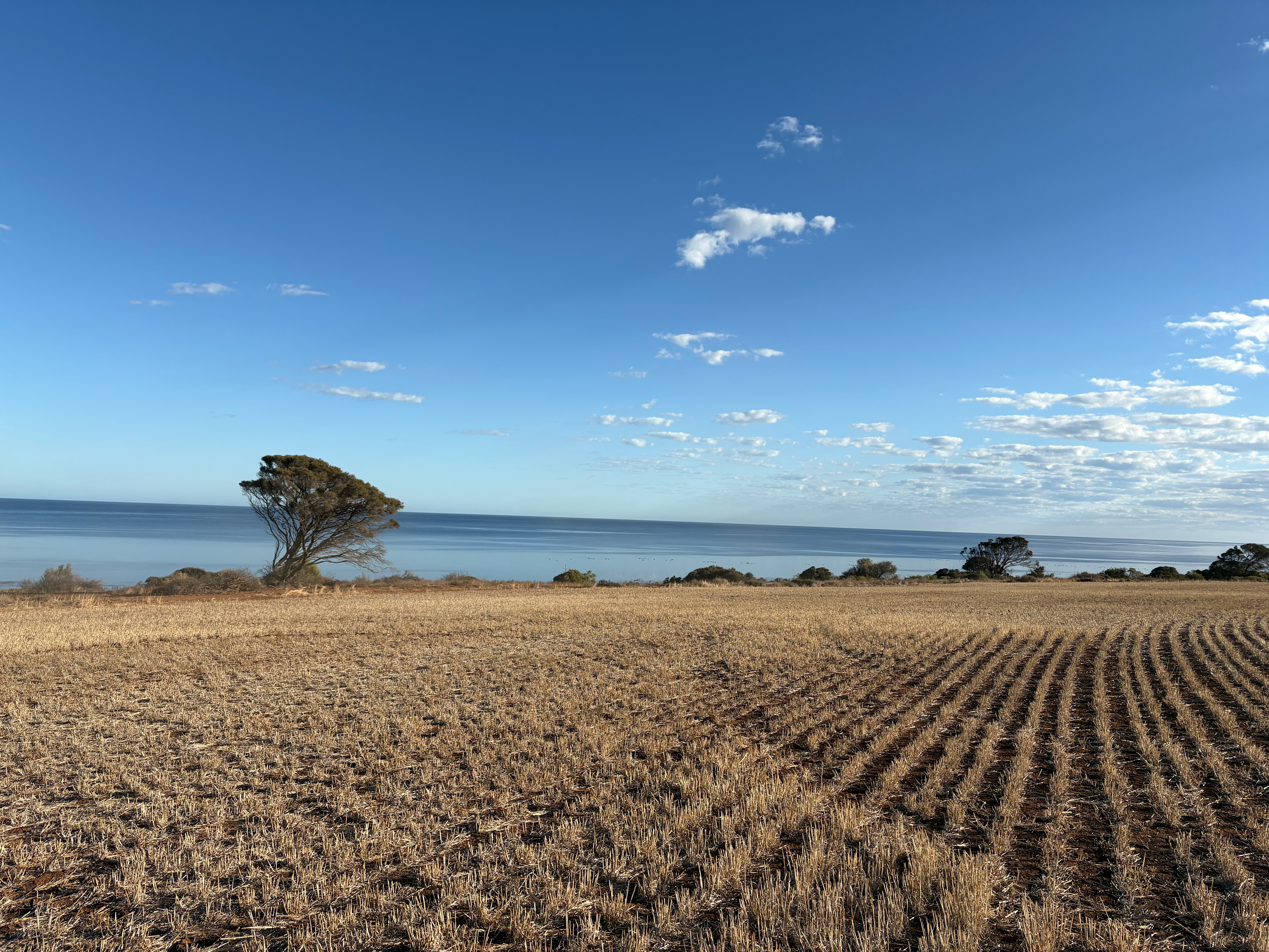 Tickera Seaview Camp Grounds