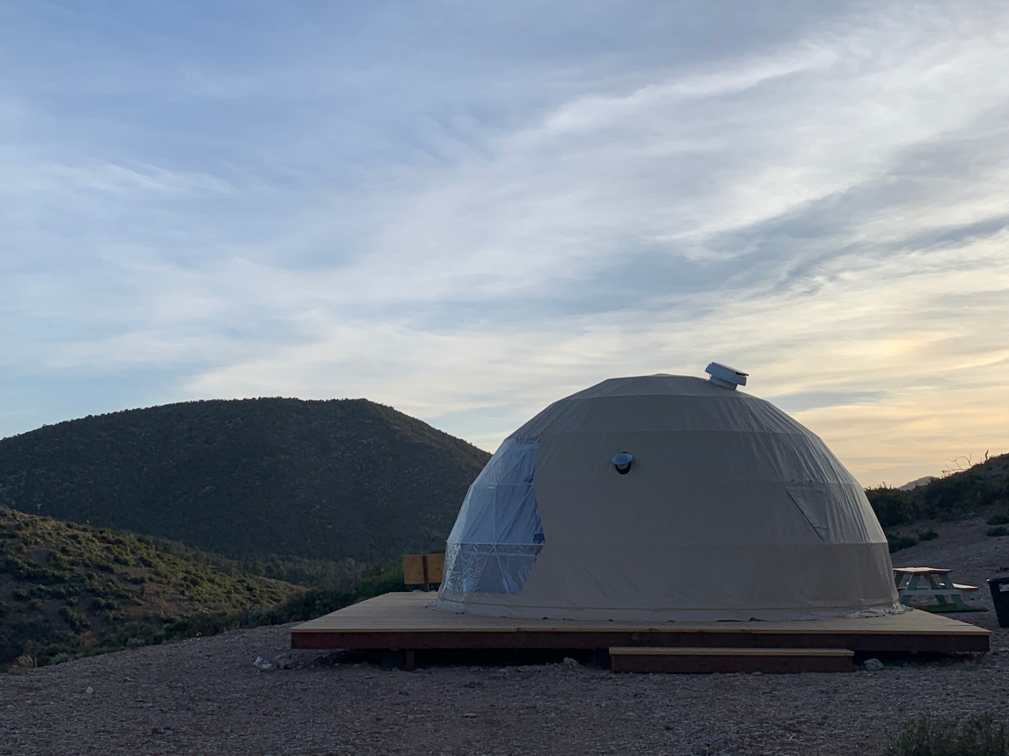 Sage Desert Dreams