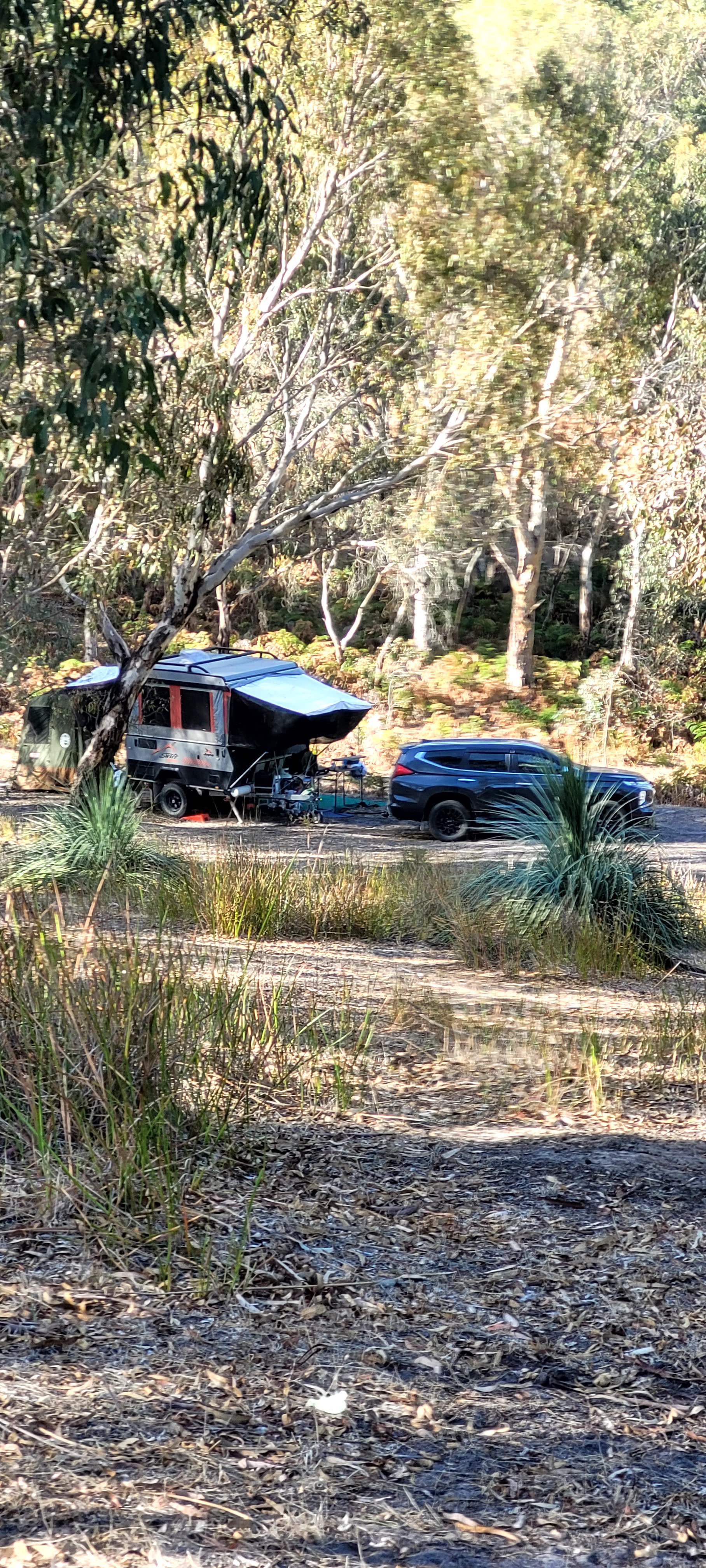 Drifting Sands Quarter Horses
