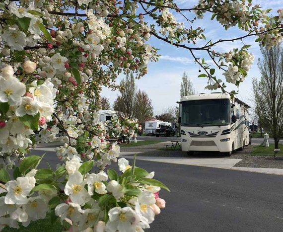Horn Rapids RV Resort