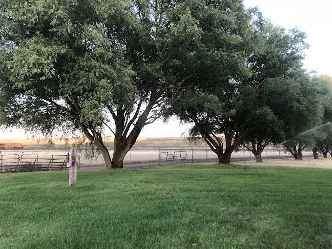 Wheatland Community Park