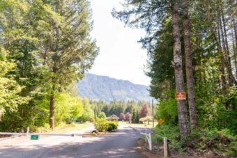 Cowlitz Falls Campground