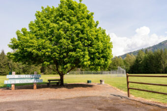 Cowlitz Falls Campground