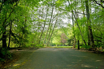 Cowlitz Falls Campground