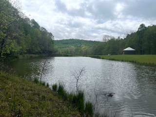 A view across the pond.