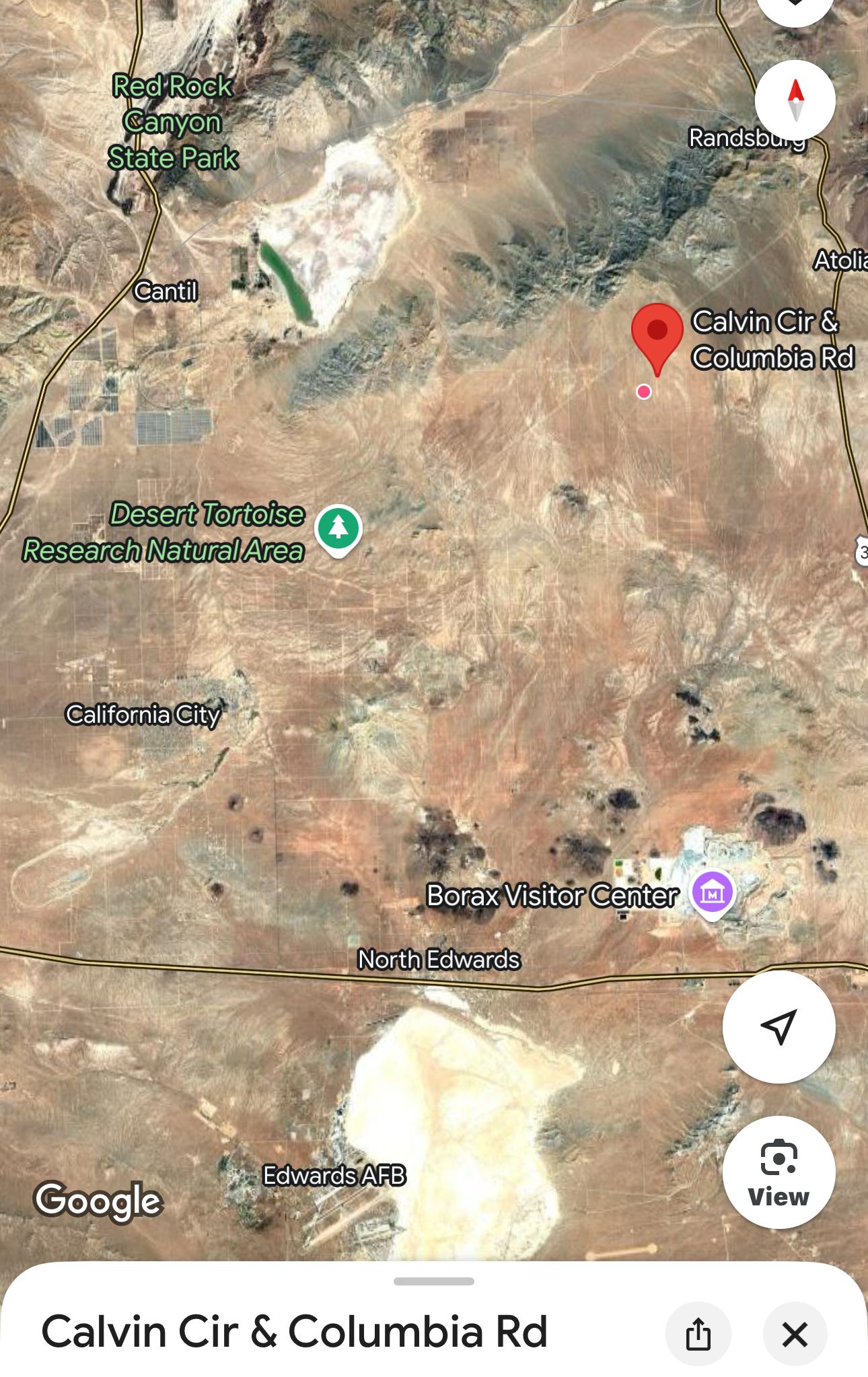 Cosmos Starry Nights Camping