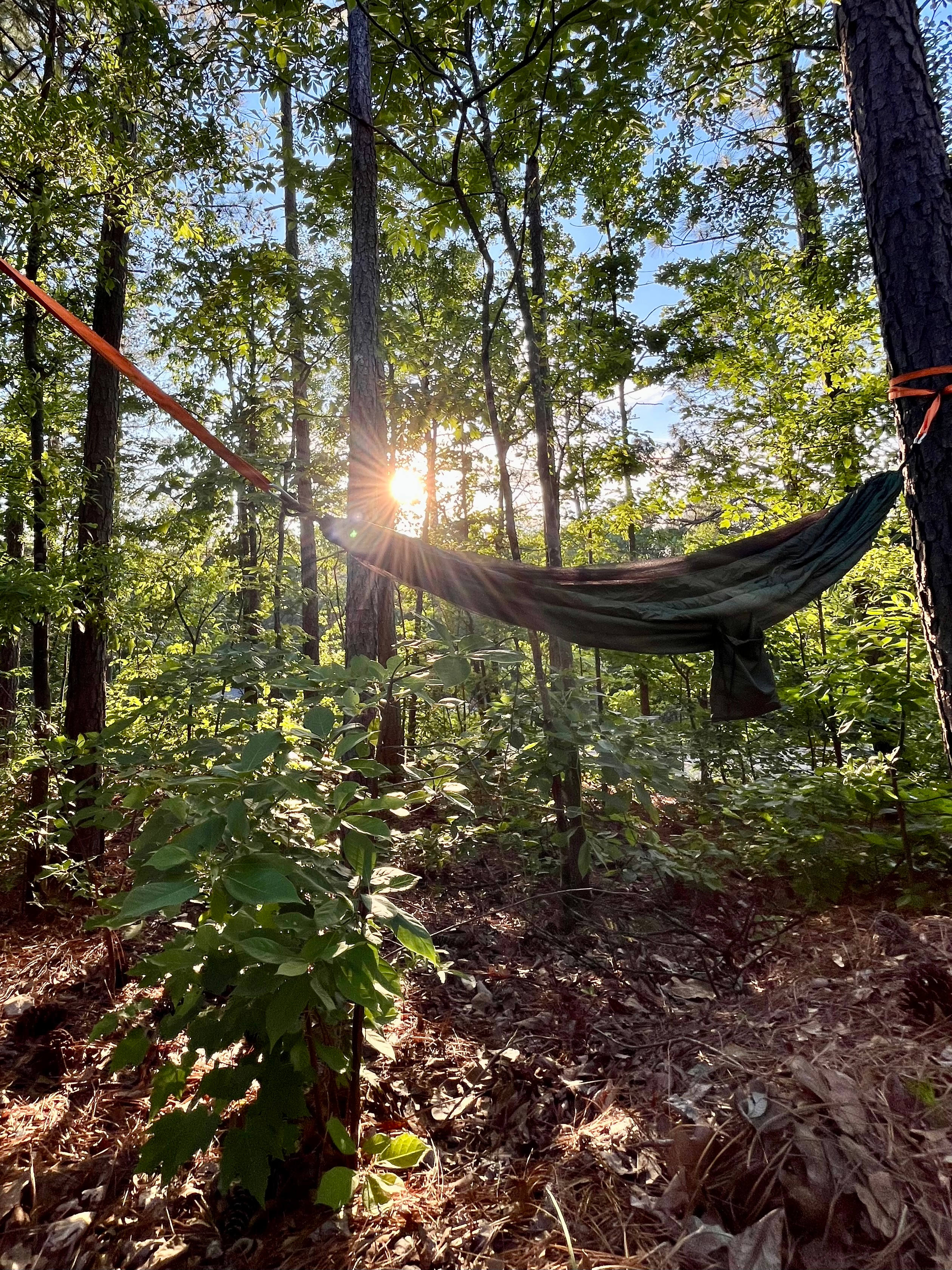 Coldwater Camp & Cabins
