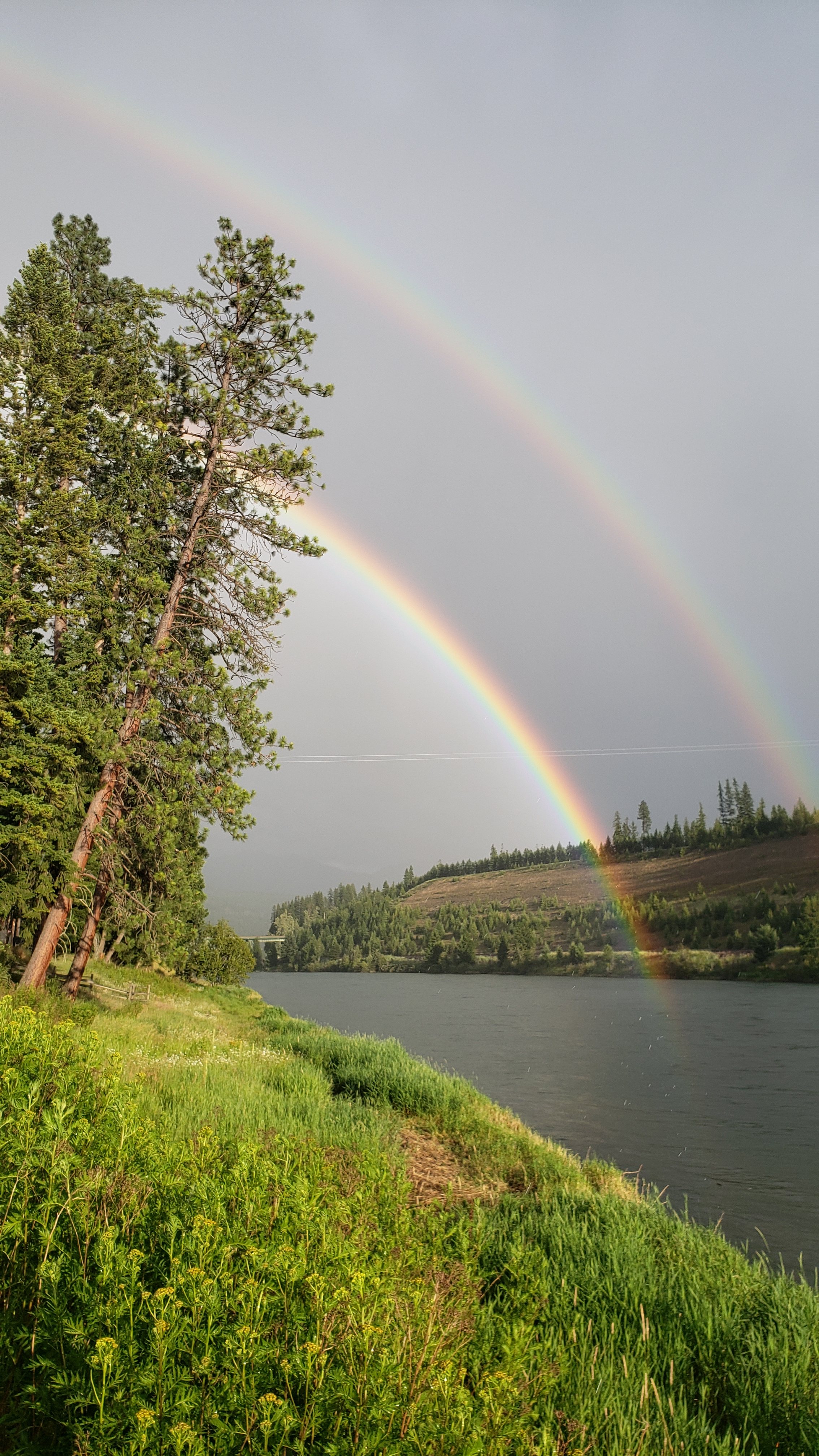 Dick's Blue Ribbon Fish Camp
