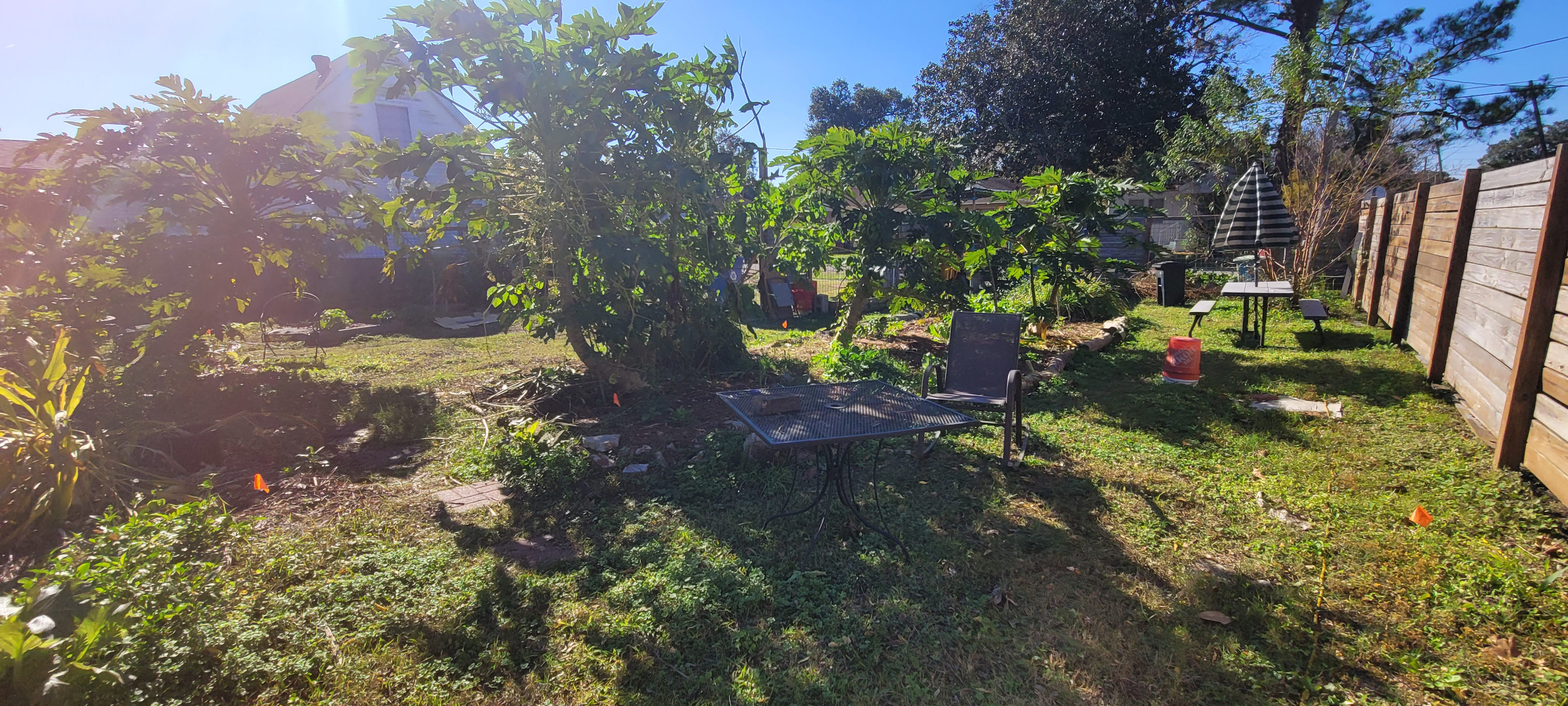 Common area side garden with picnic tables