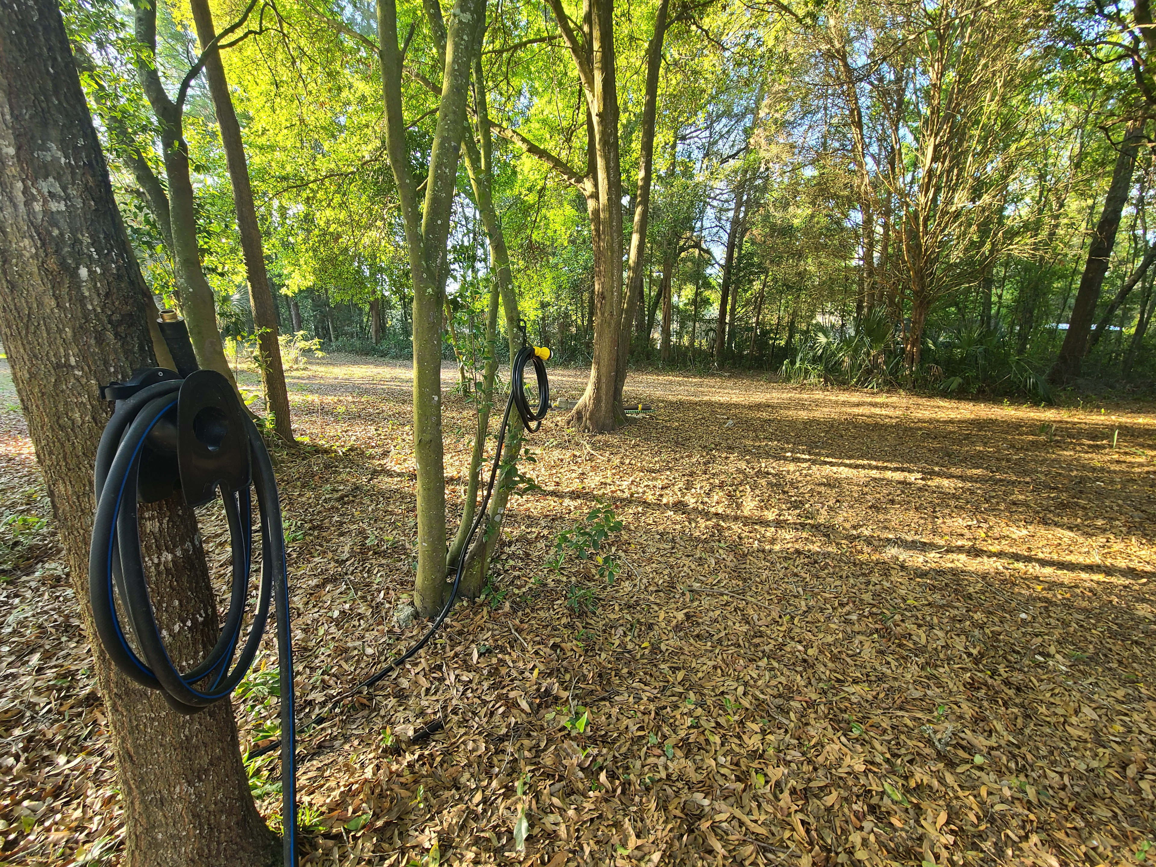 Large area can accommodate any size RV.