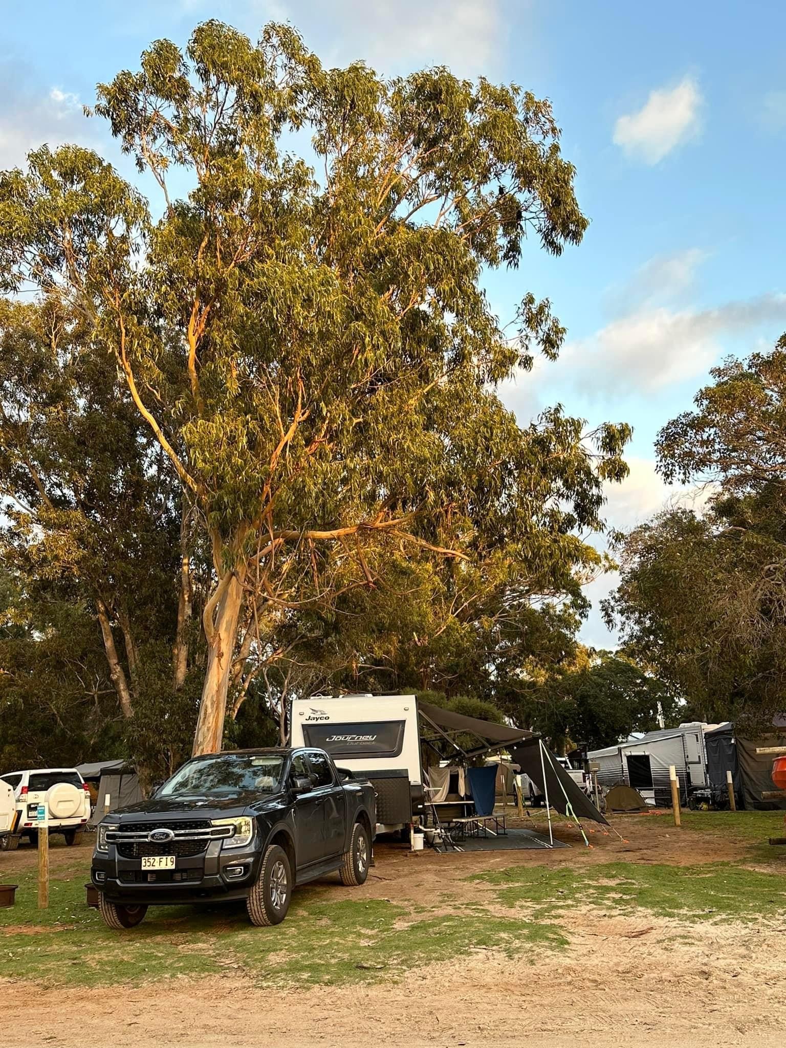 Molloy Holiday Park - Nature Awaits