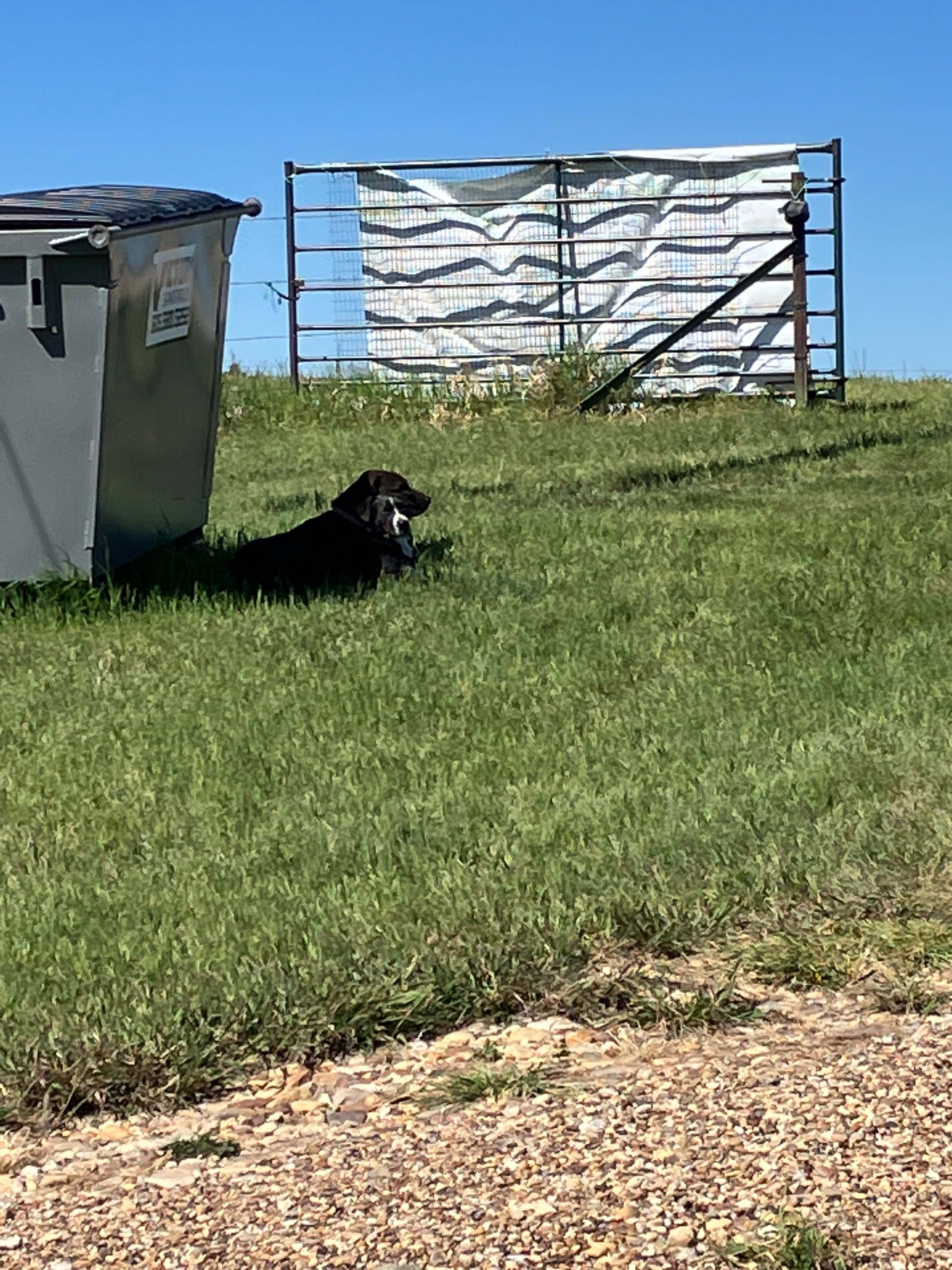 Devils Tower Tipi Camping