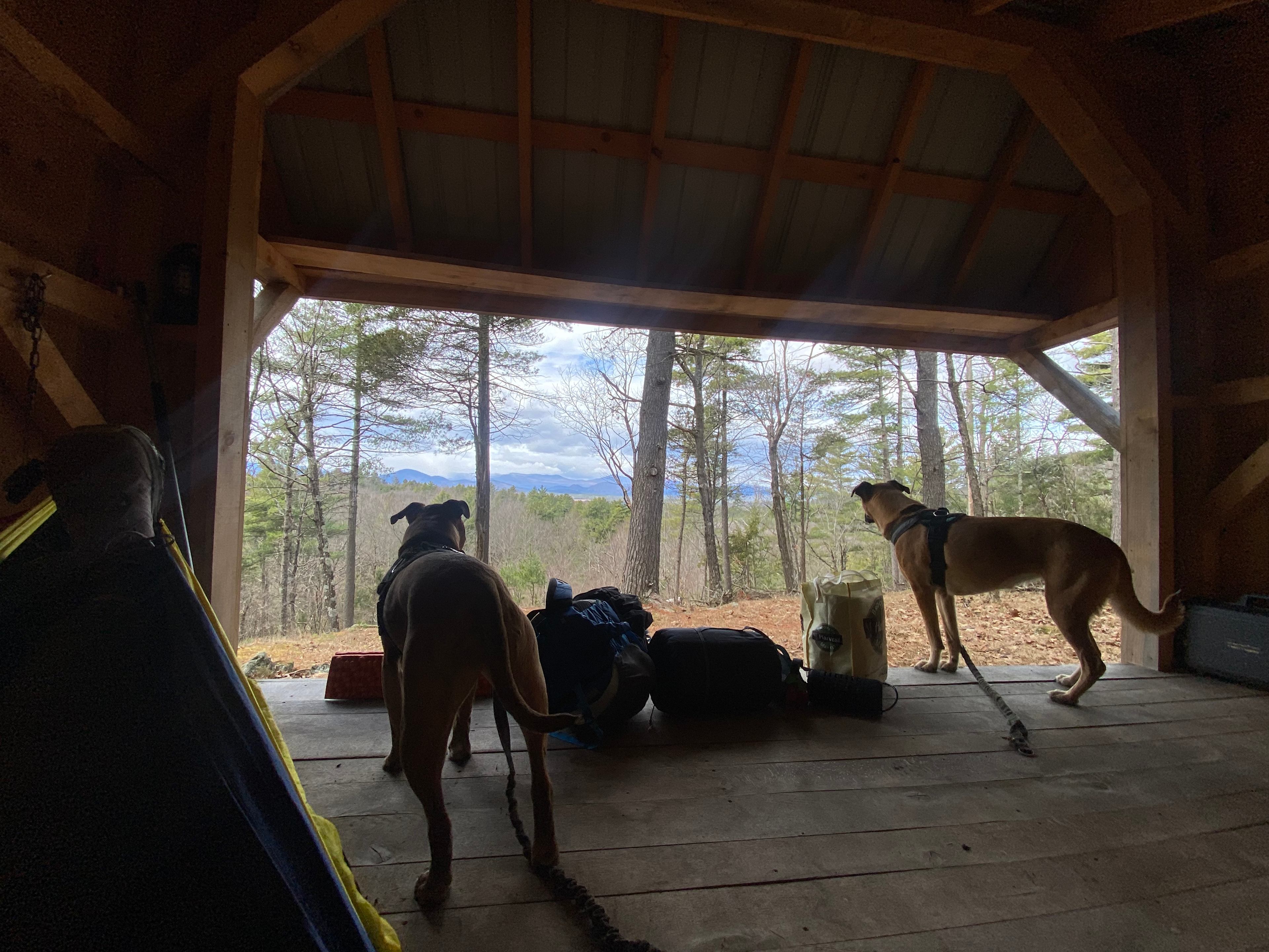 Camp Way Wild