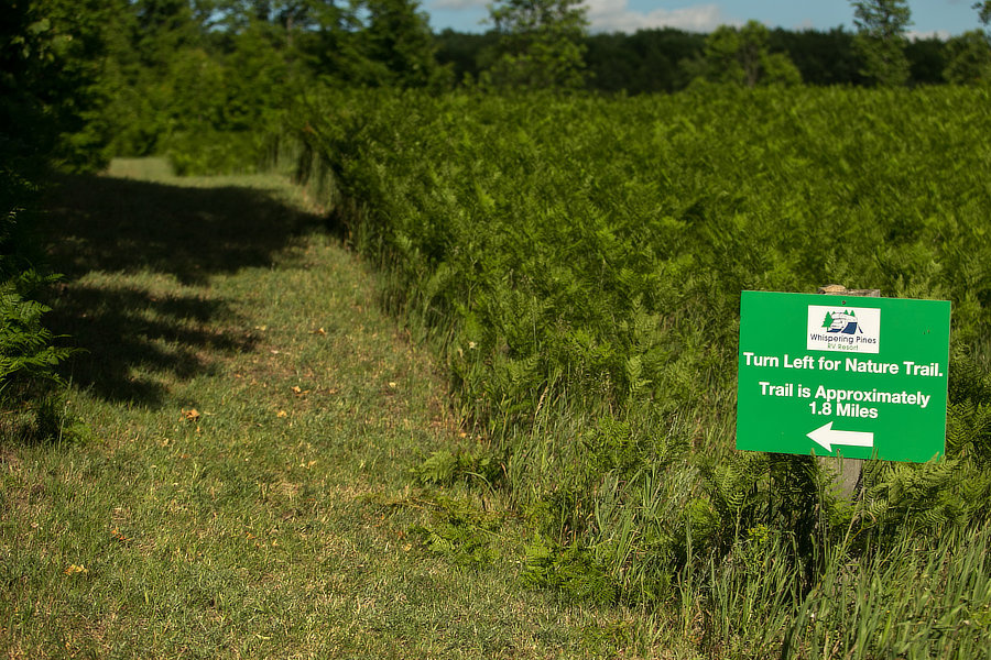 Starlight Campground and RV Park