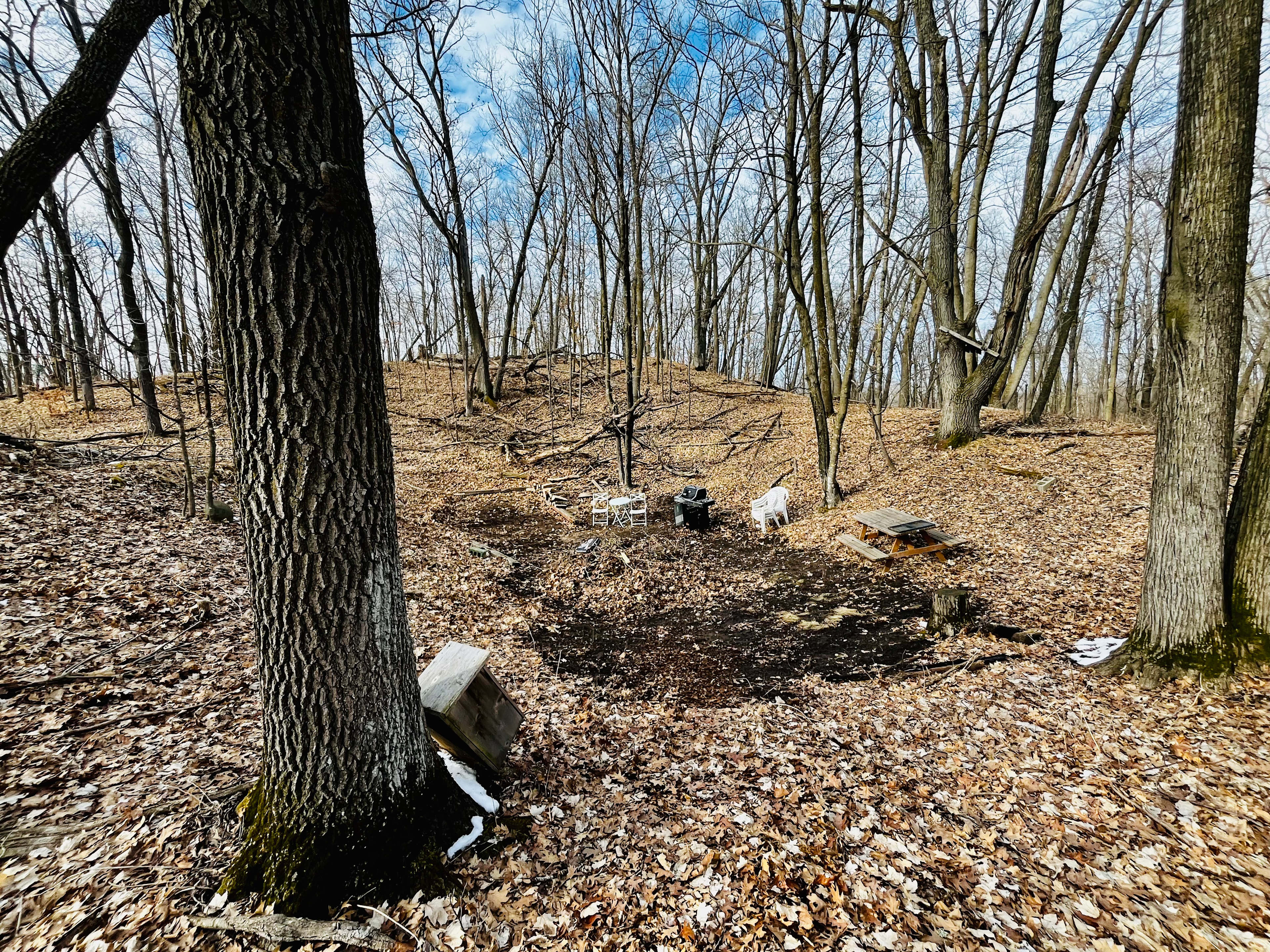 Deer haven