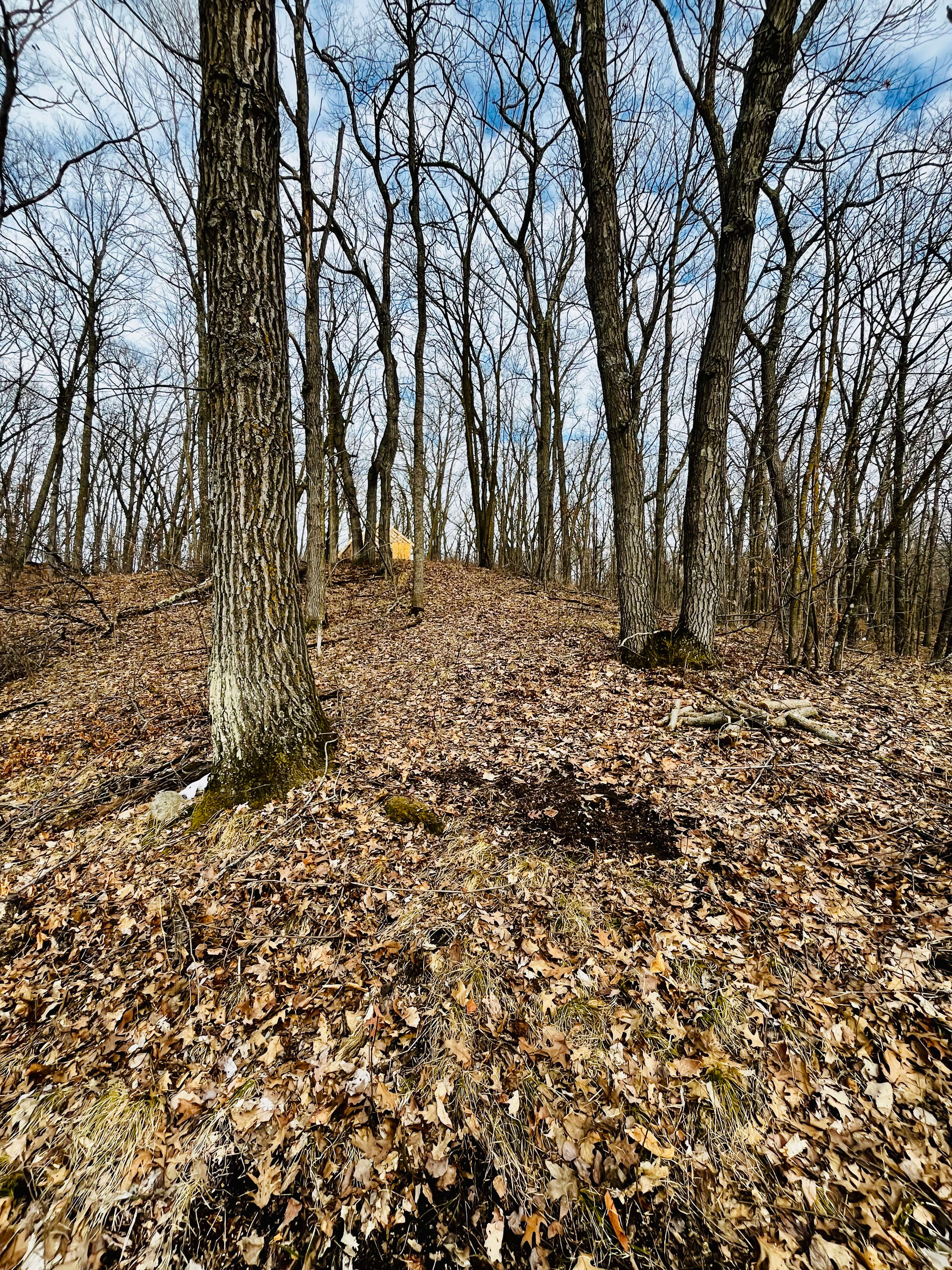 Deer haven