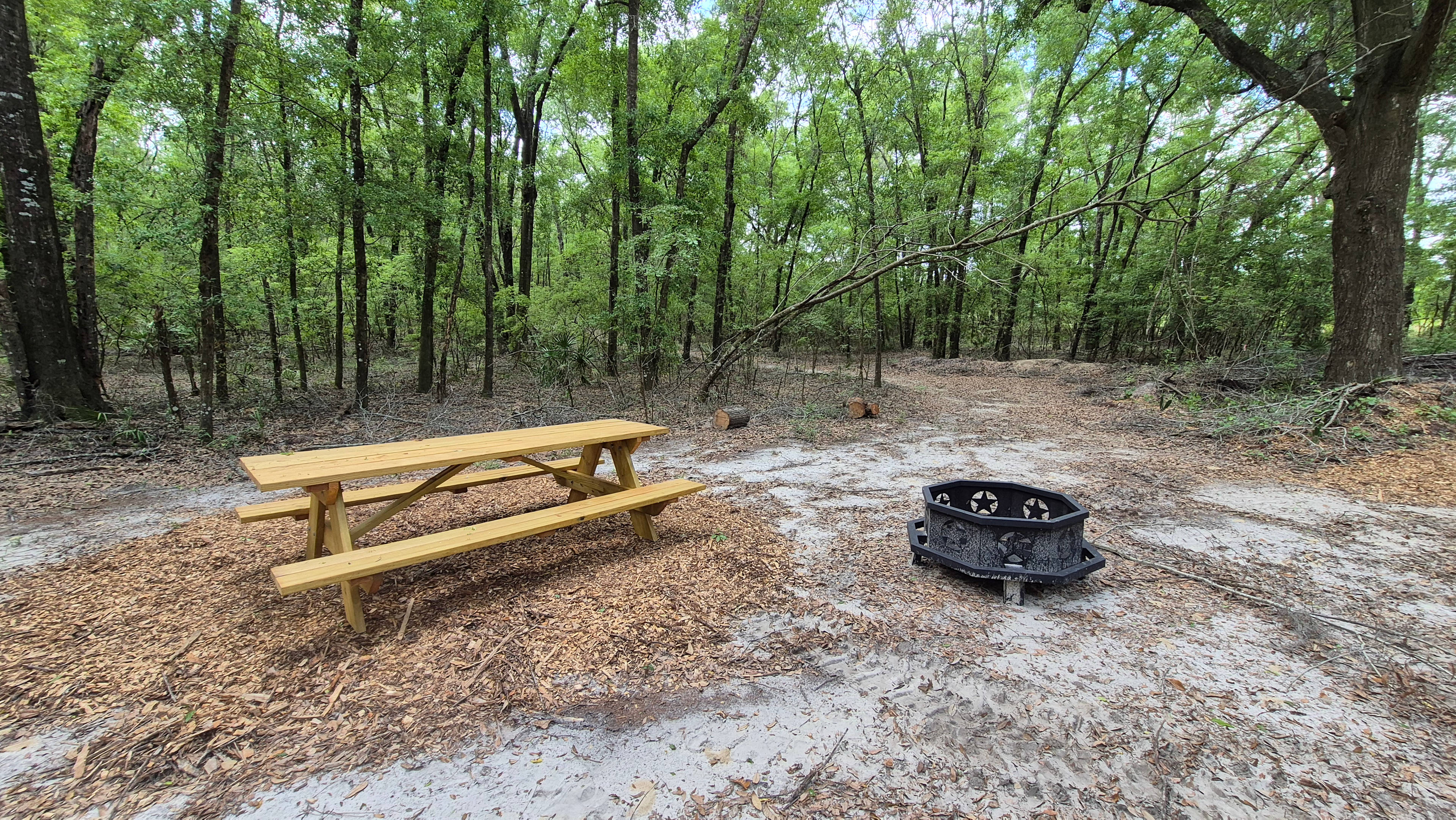 Paddle Dive Camp Rancho Mackintosh