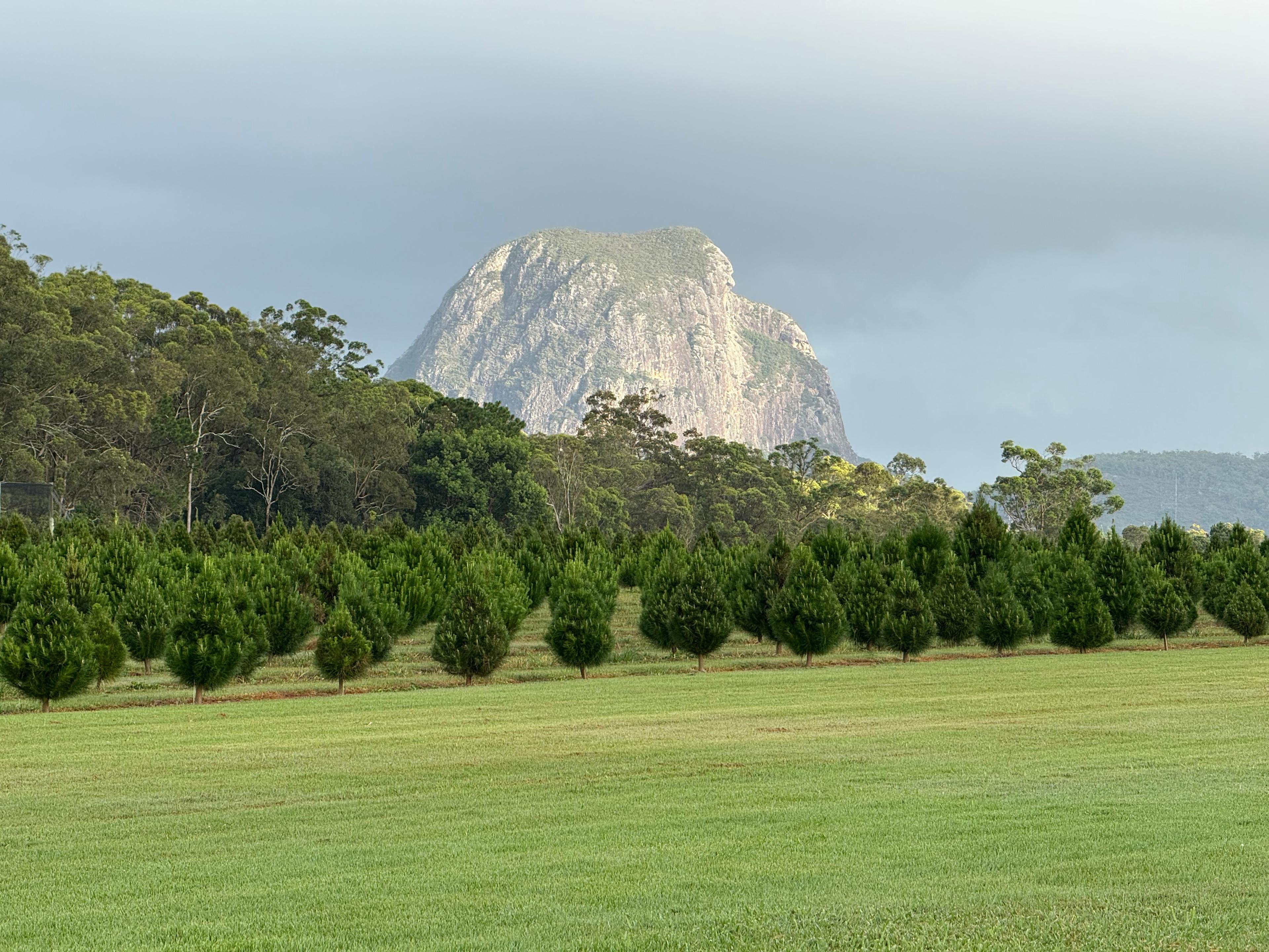 Mountain Country Farm Stay