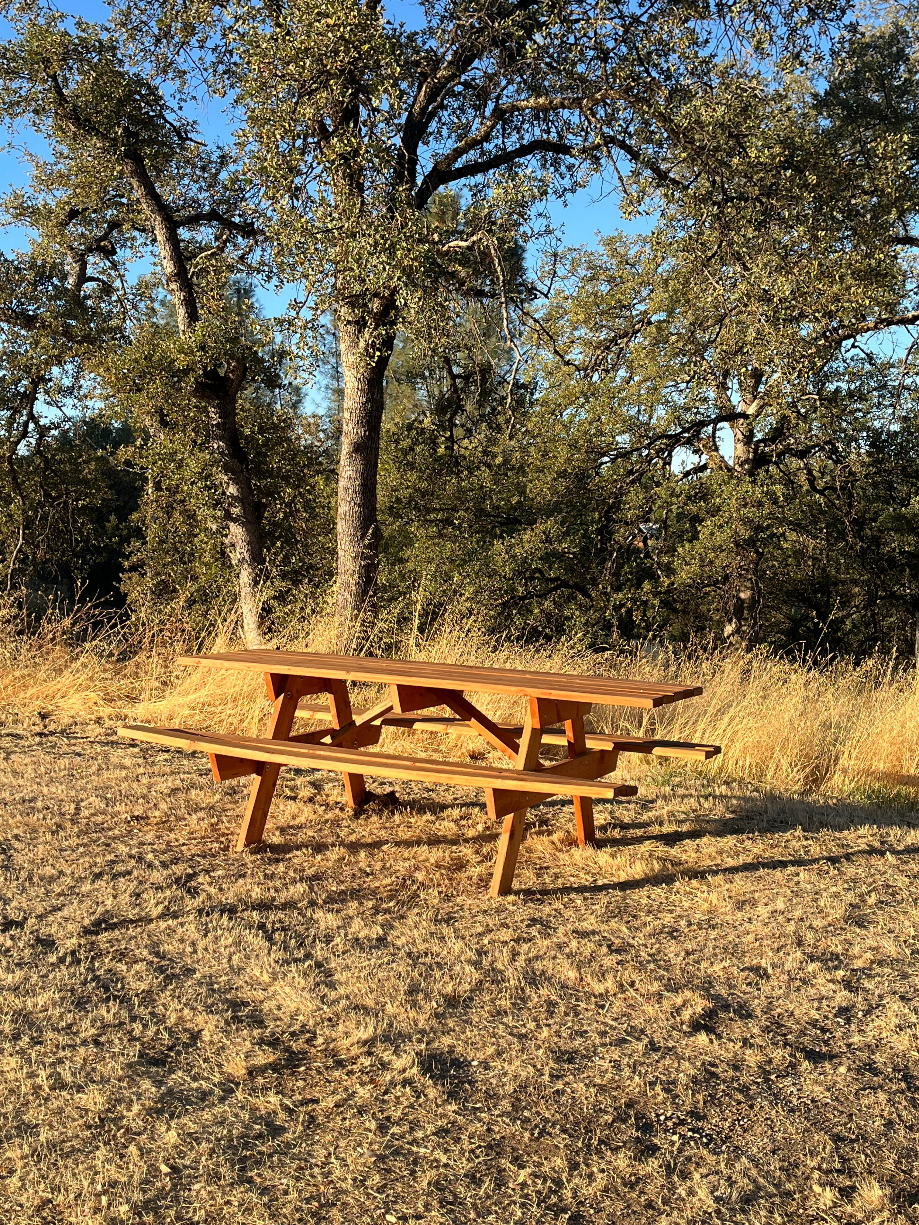 Camp site 1