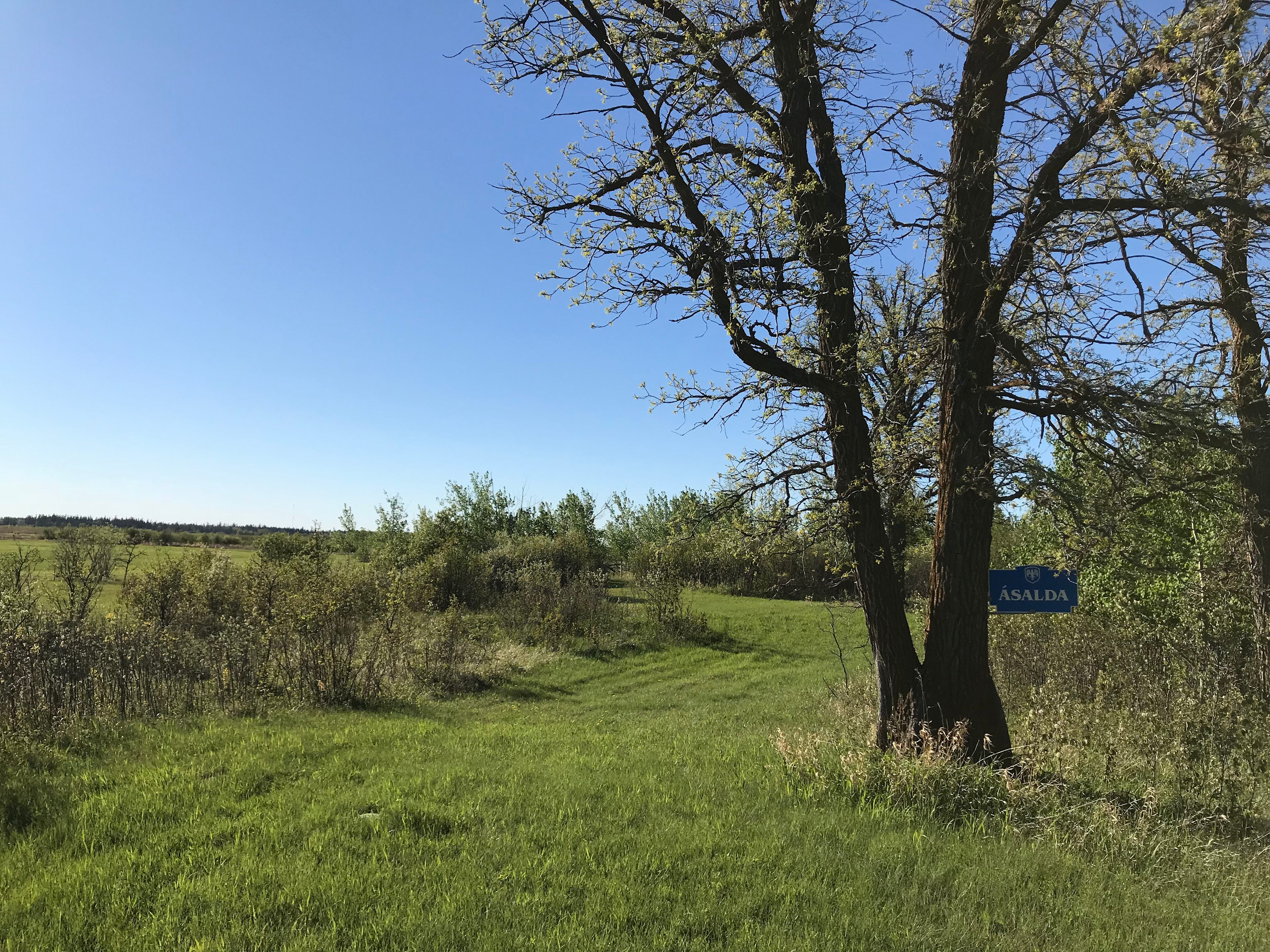 Ásalda historic site: Riverton