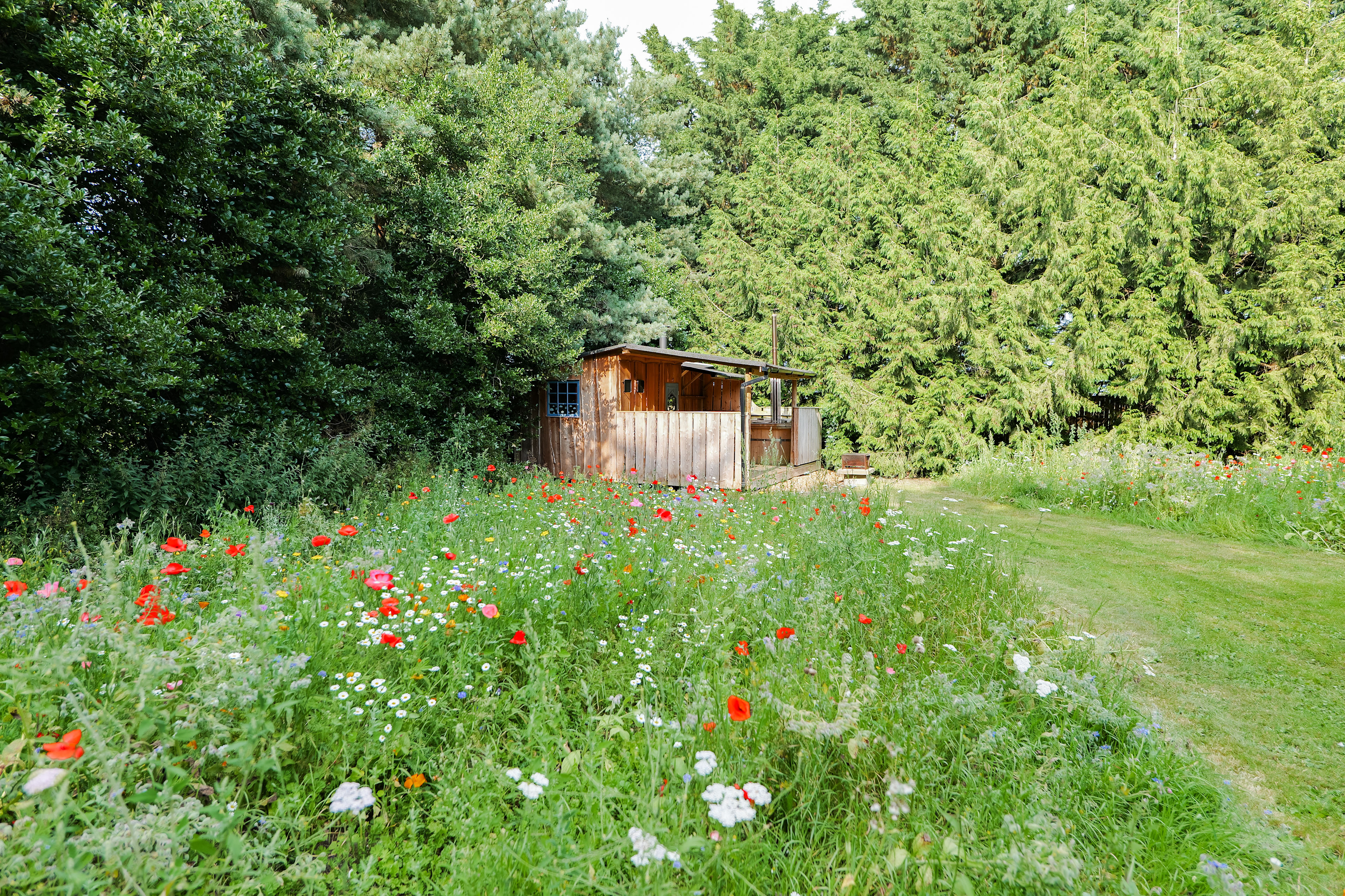 Off-Grid Glamping at Lahtle Wood