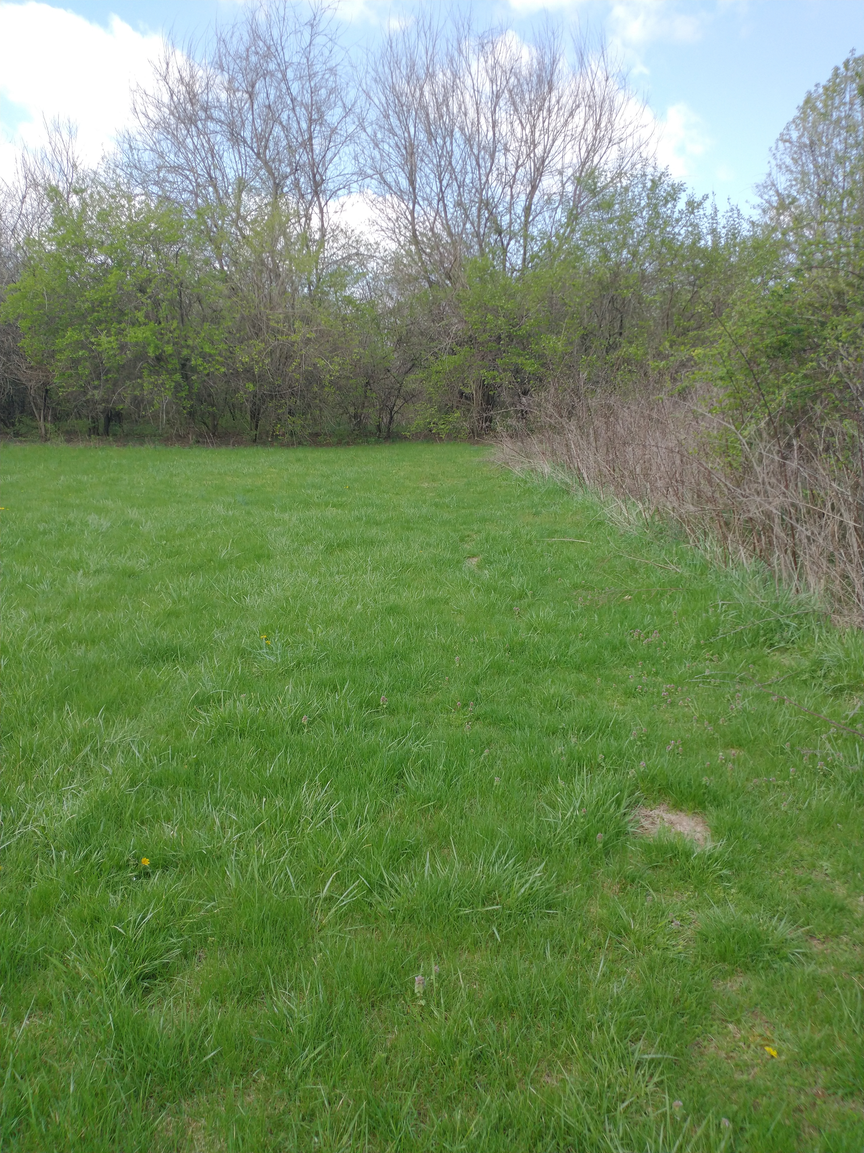 Arnold Acres