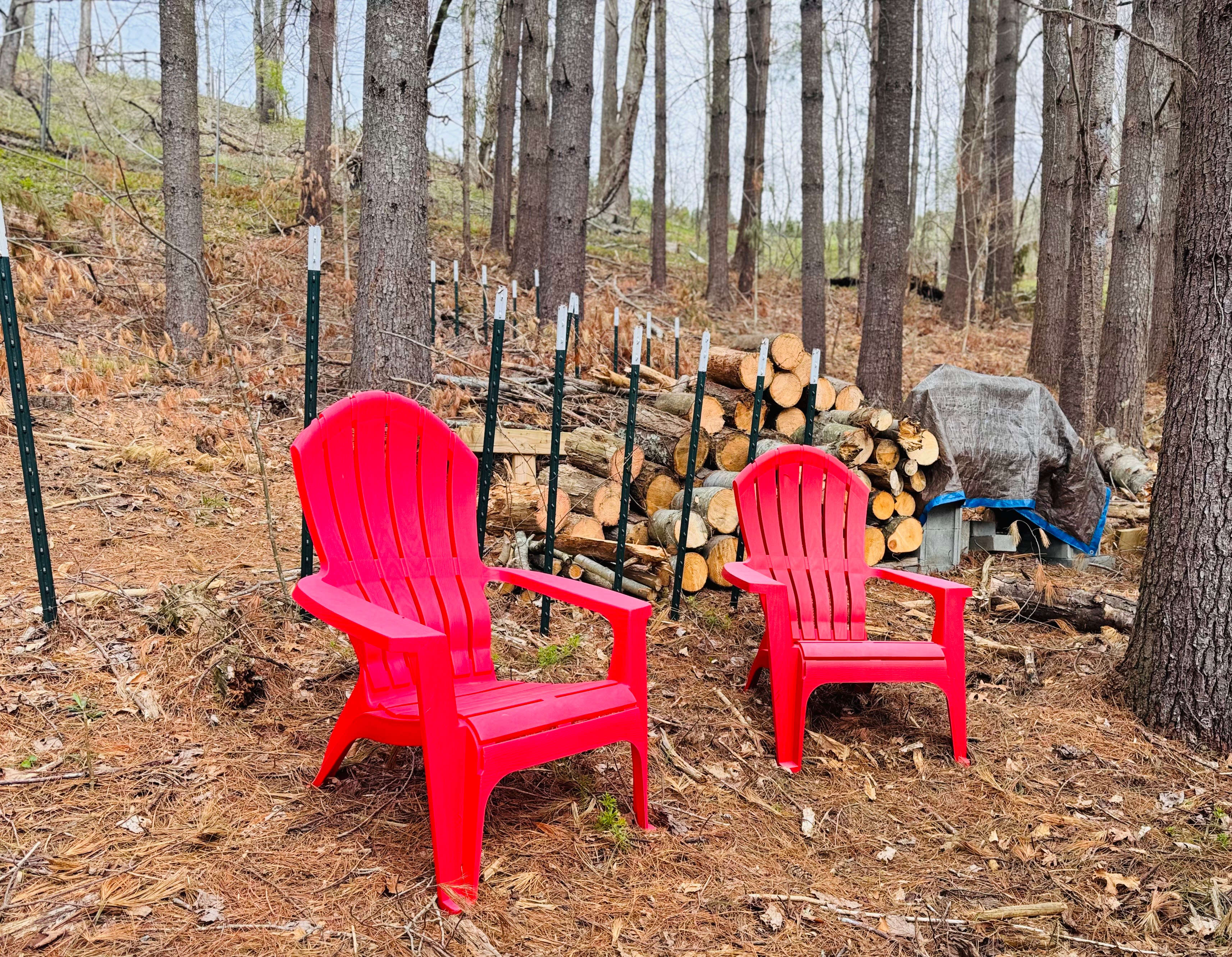 Wooded seating area near the cabin