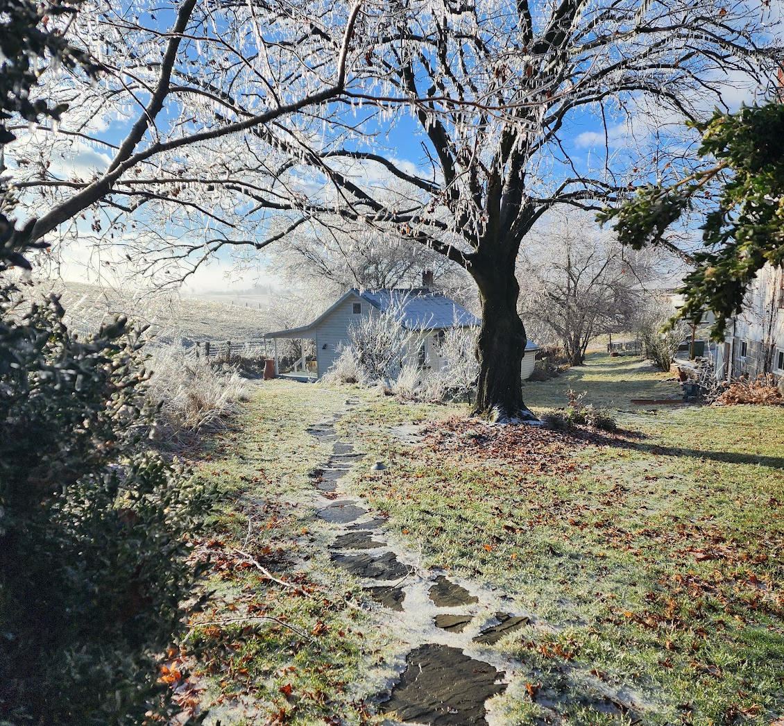 The spring house at Thistle Hollow