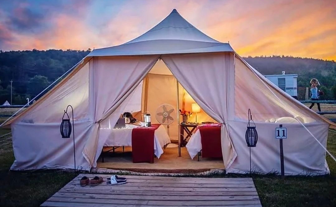 Adirondack Safari